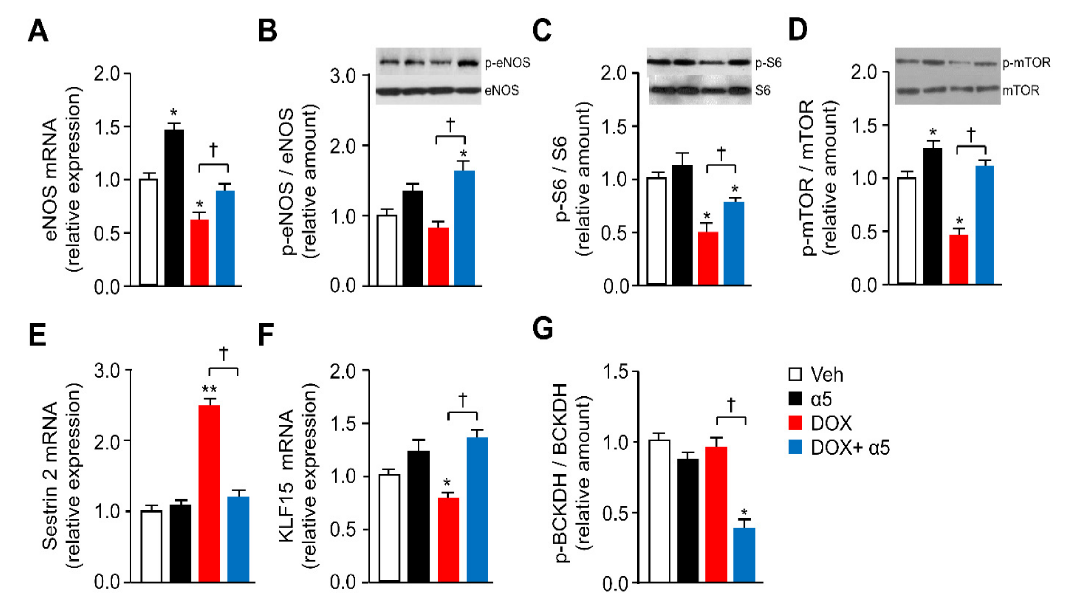 Nutrients 12 00282 g006 Nutrients 12 00282 g006