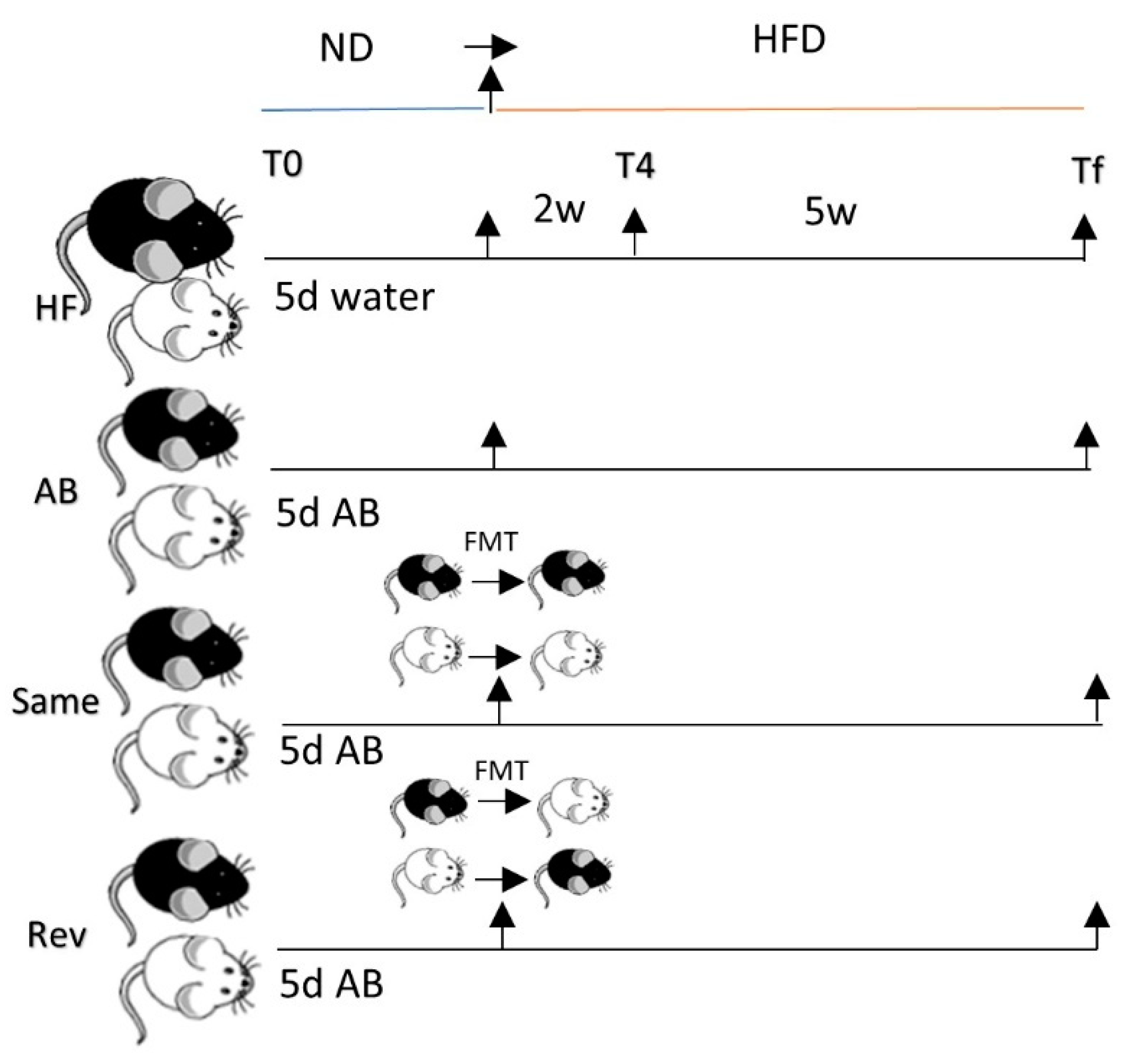 Nutrients 12 00287 g001