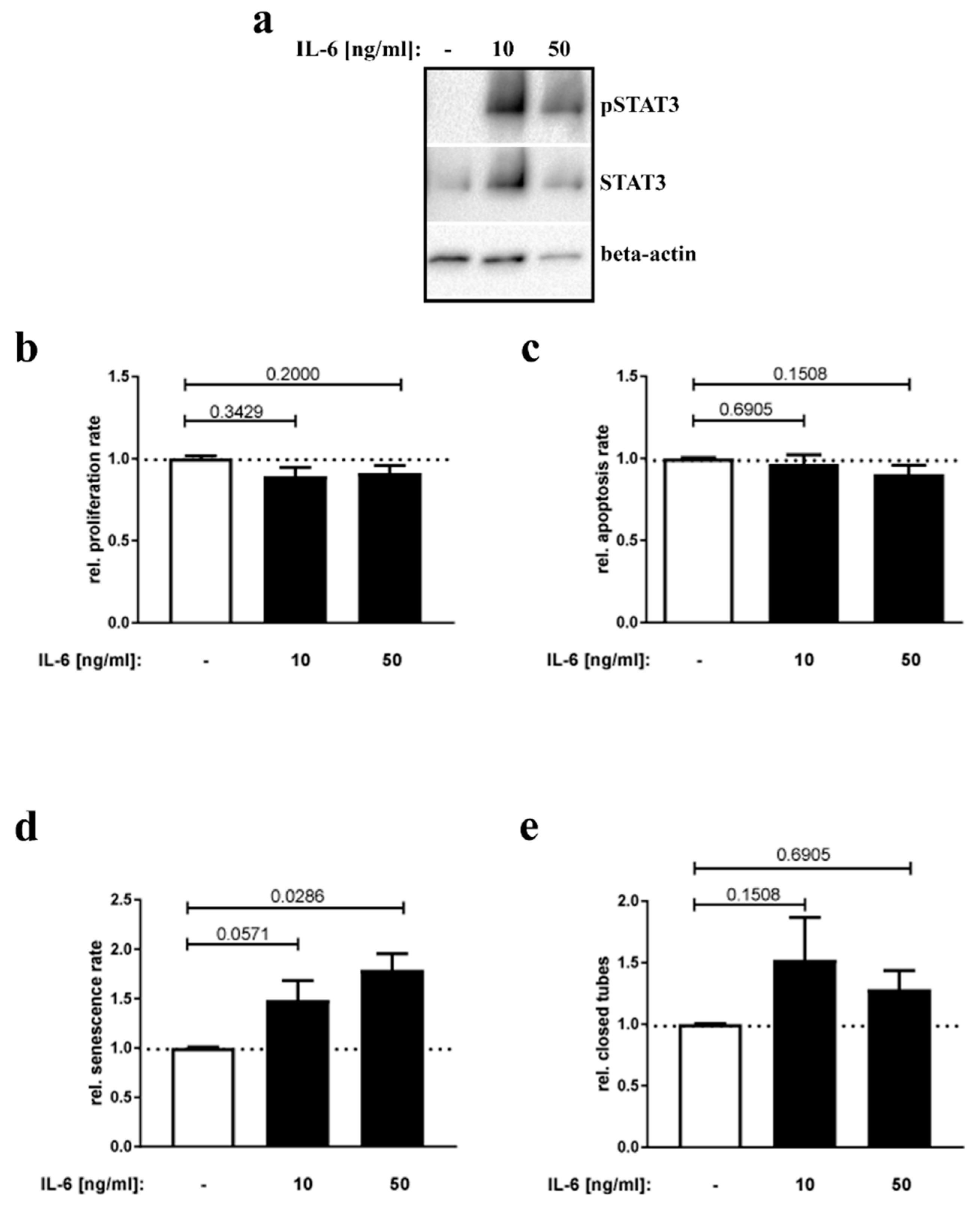 Nutrients 12 00296 g004 Nutrients 12 00296 g004