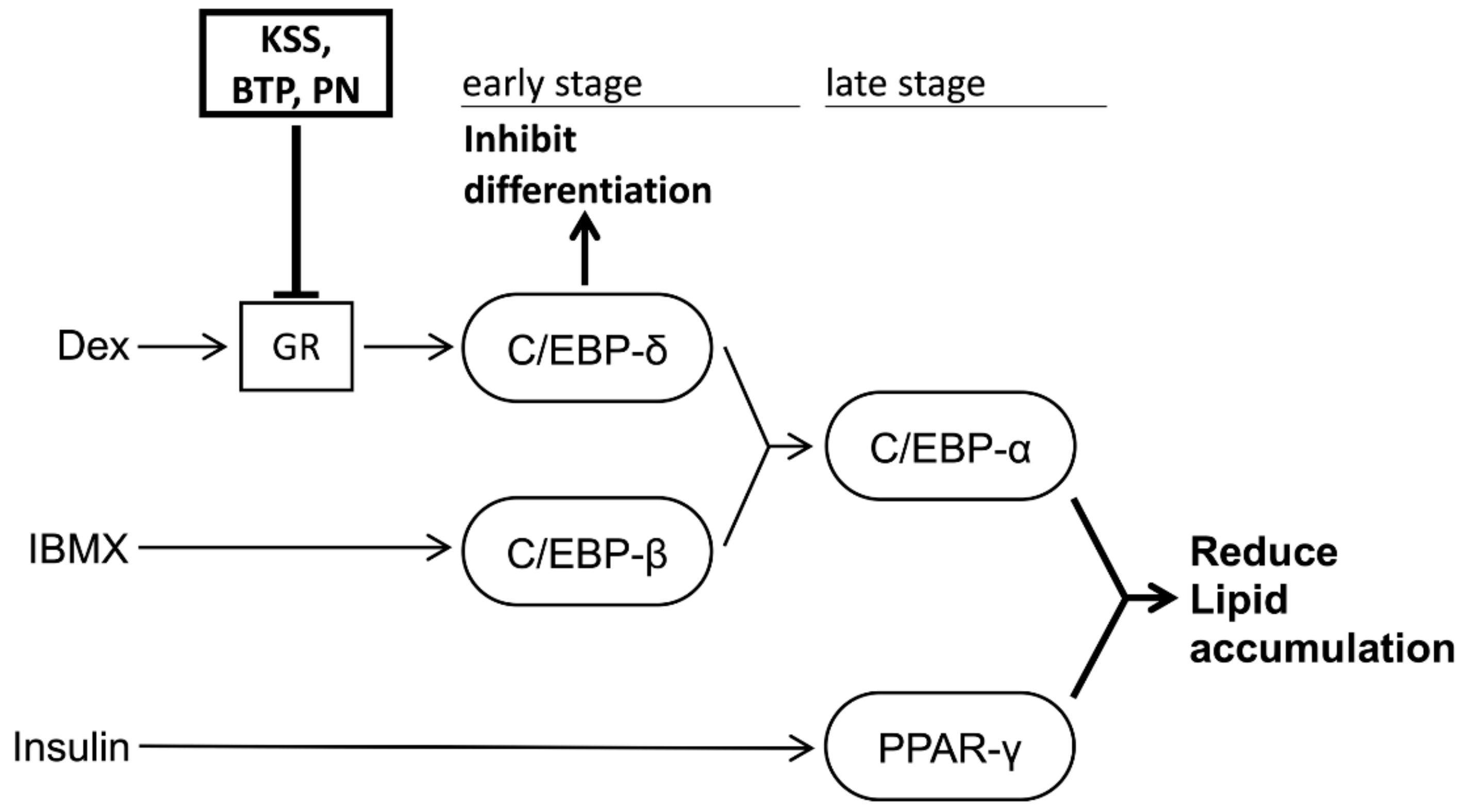 Nutrients 12 00309 g008