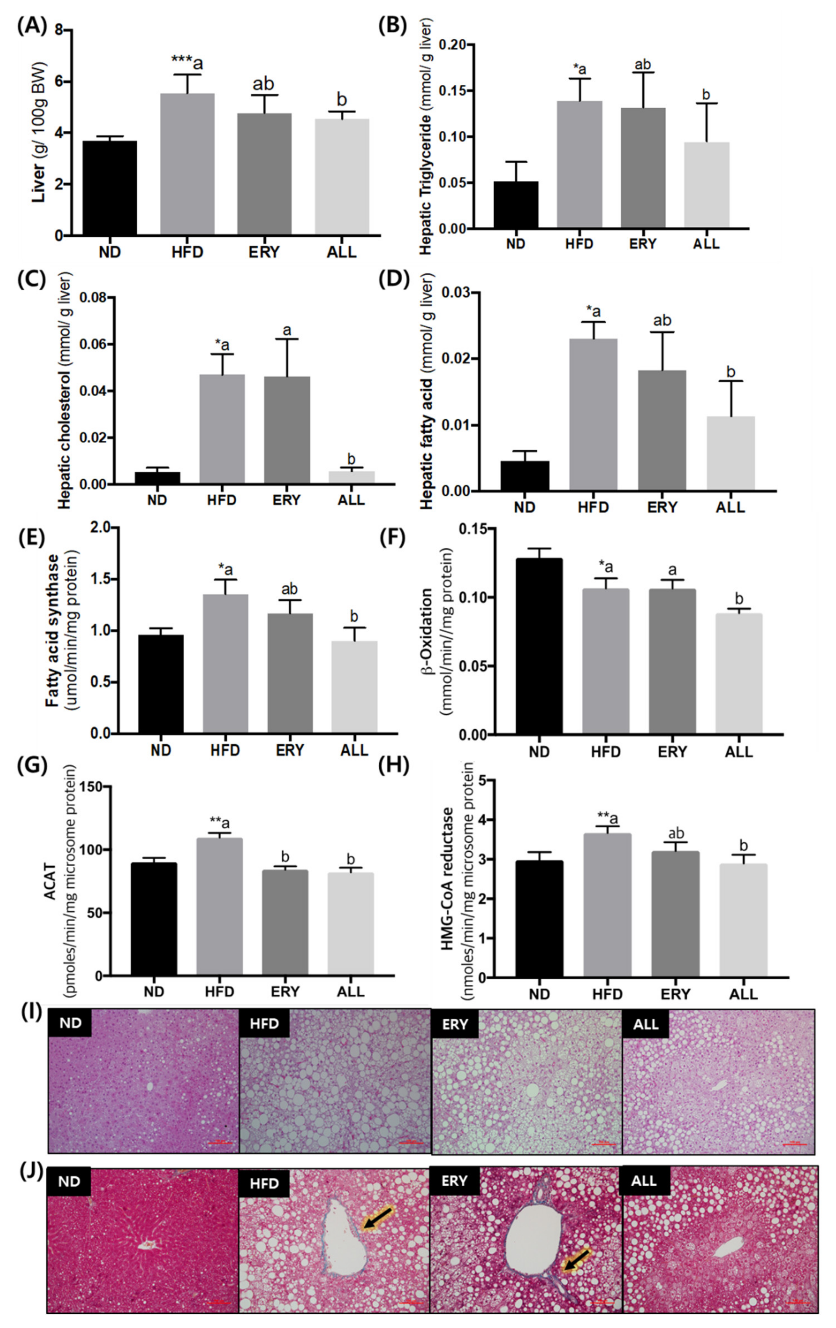 Nutrients 12 00352 g002 Nutrients 12 00352 g002