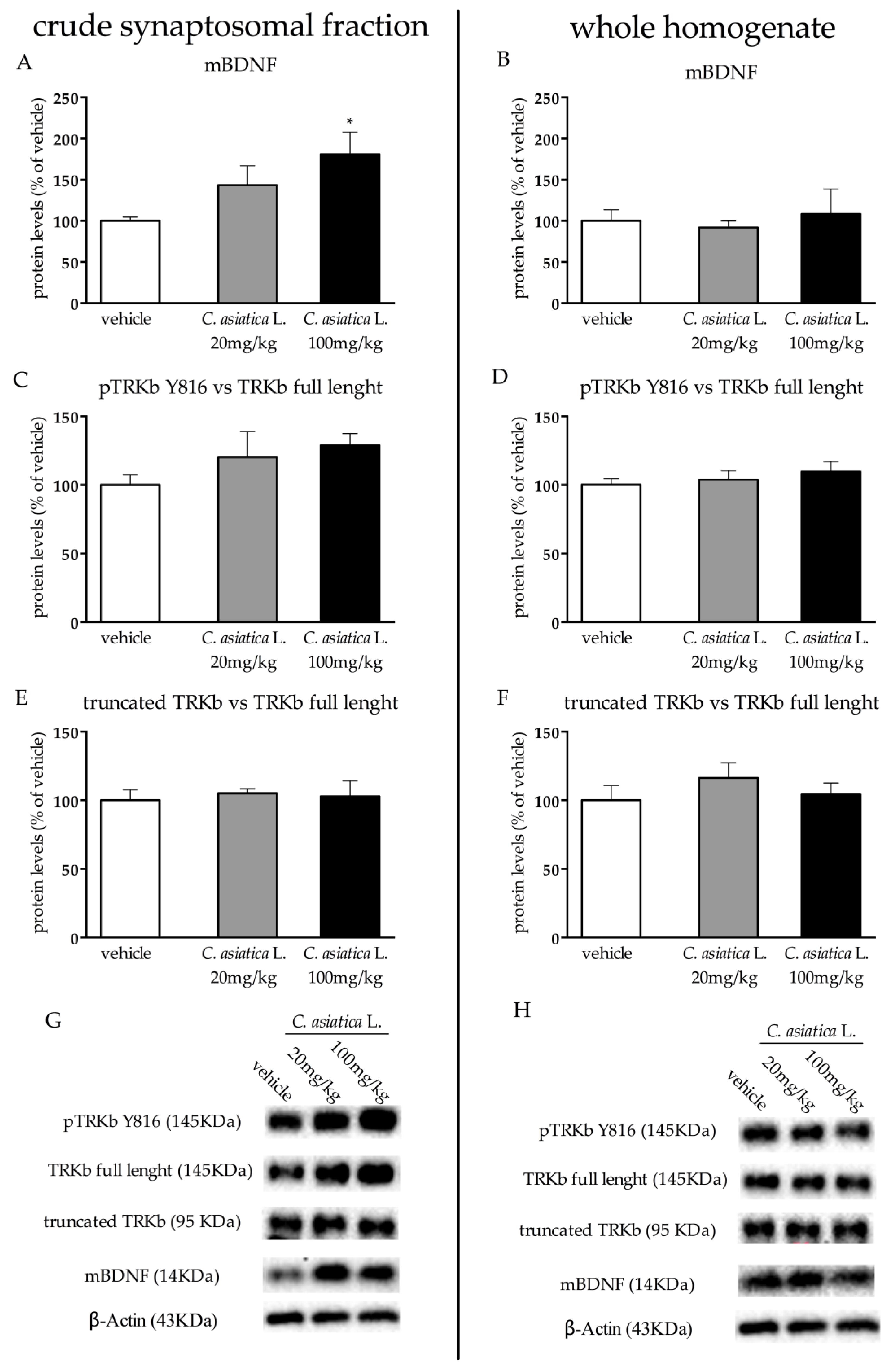 Nutrients 12 00355 g004