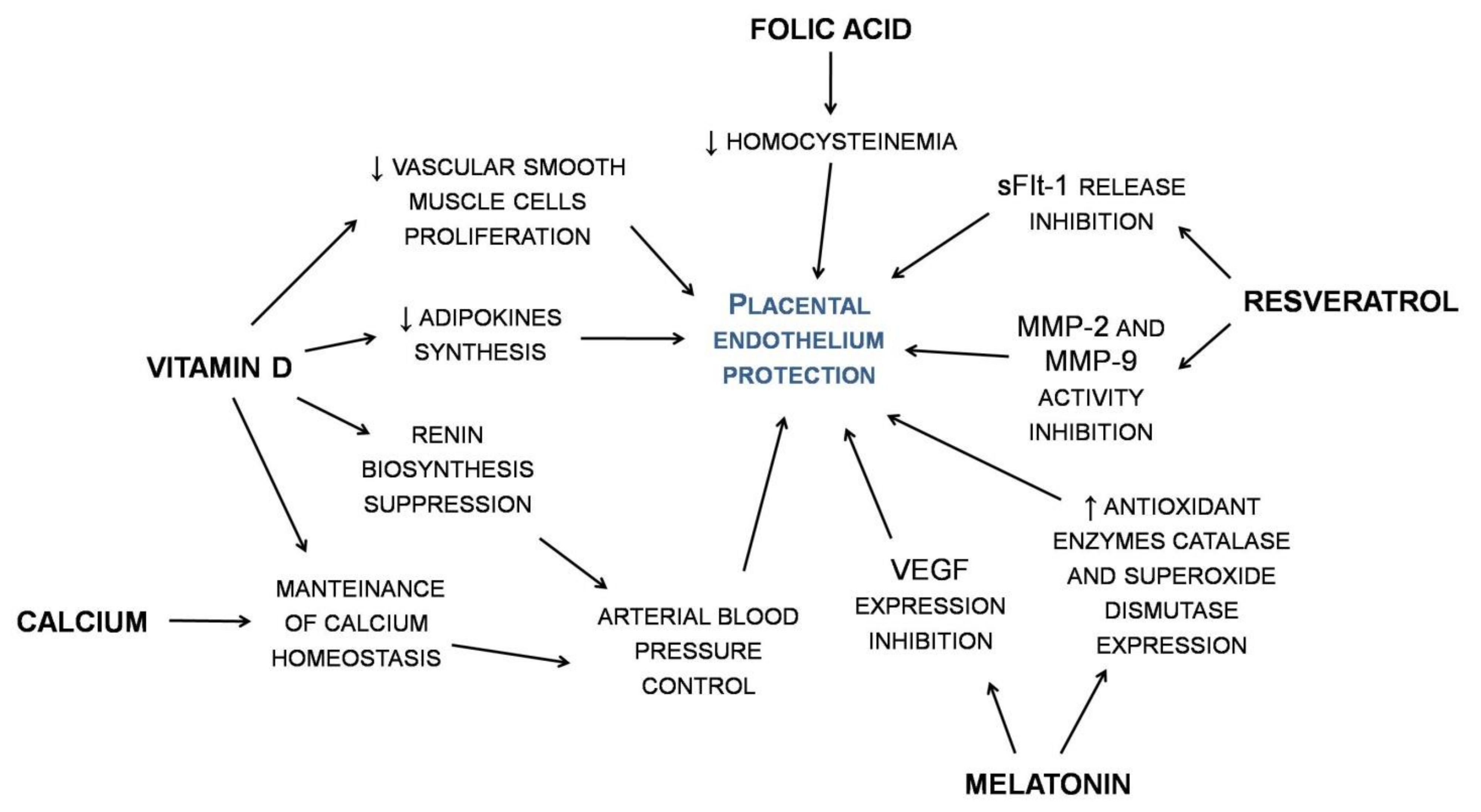 The Safety of High Dose Labetalol in the Pregnant Population