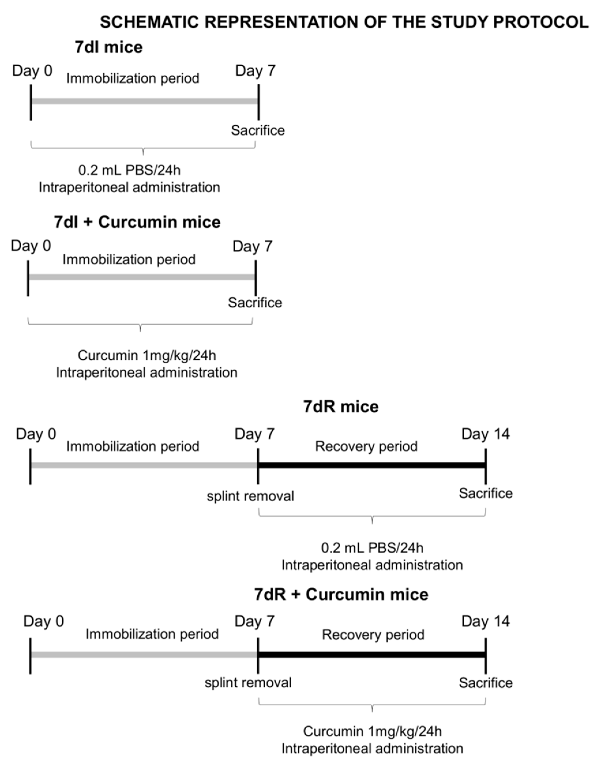 Nutrients 12 00388 g001