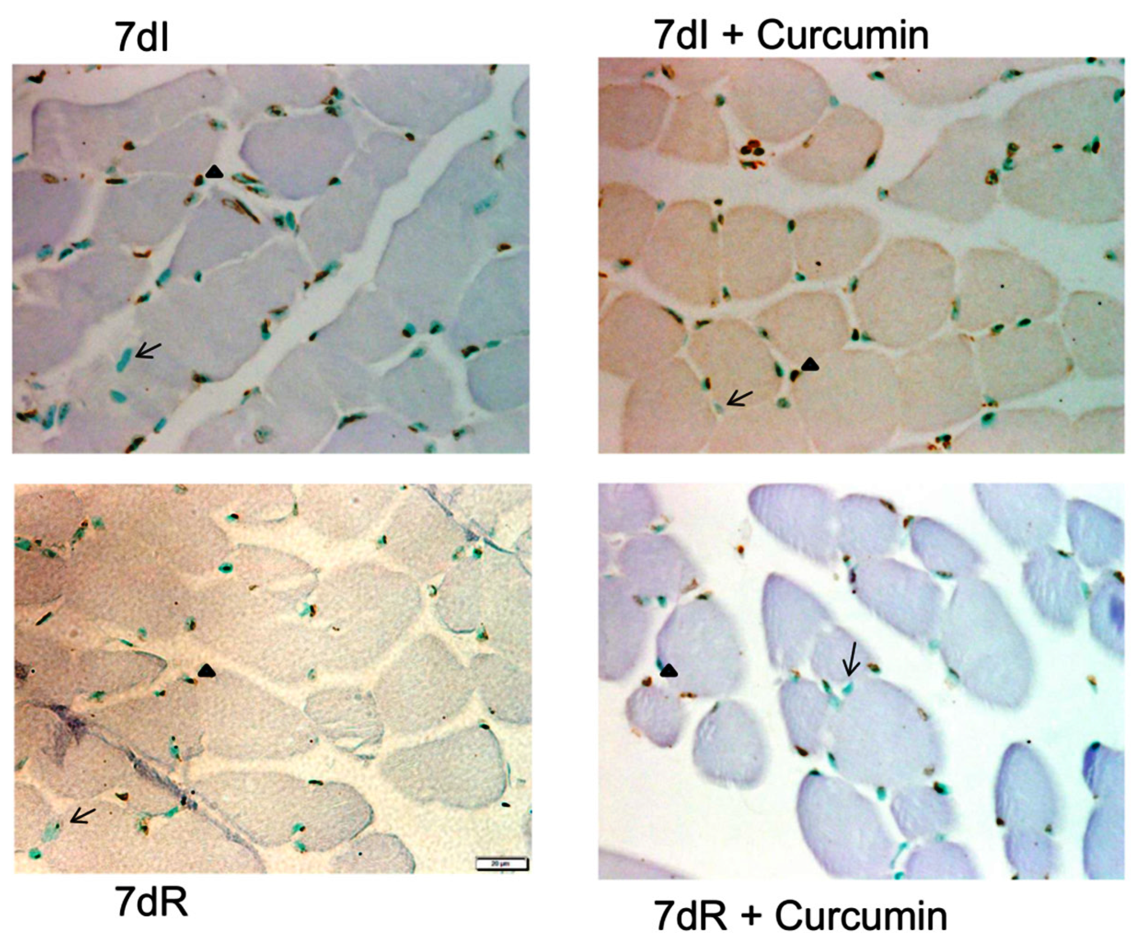 Nutrients 12 00388 g003