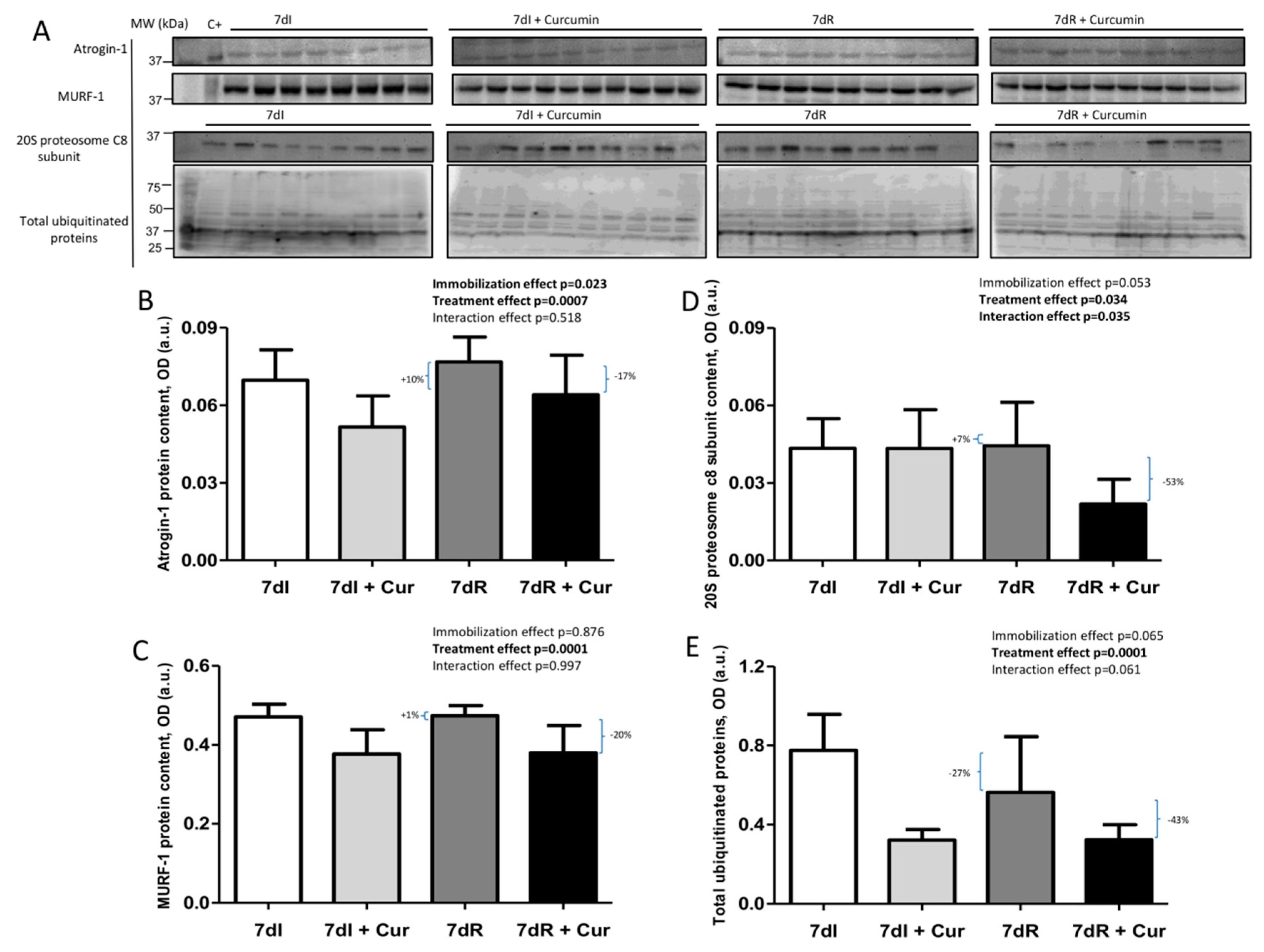 Nutrients 12 00388 g005