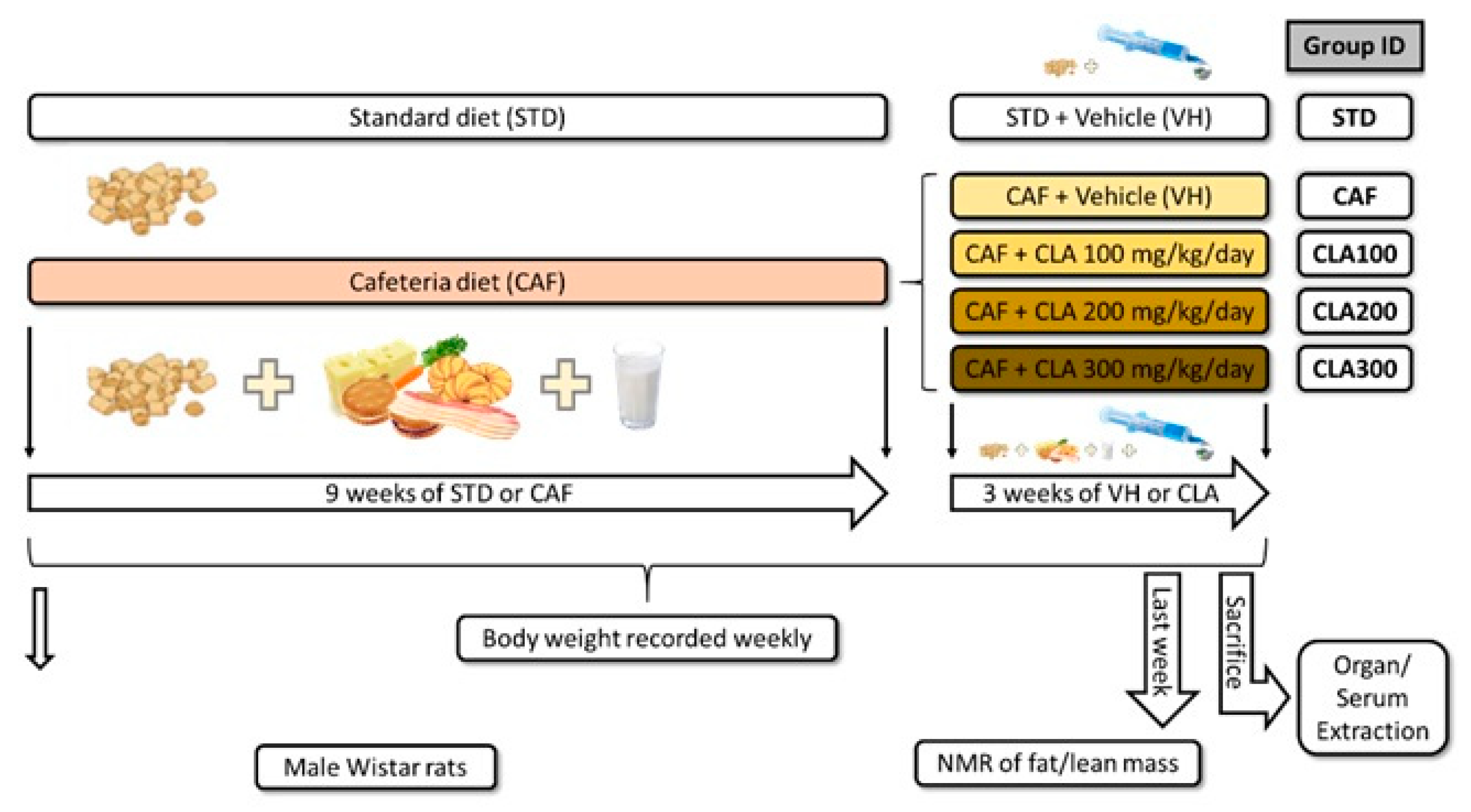 Nutrients 12 00408 g001 Nutrients 12 00408 g001