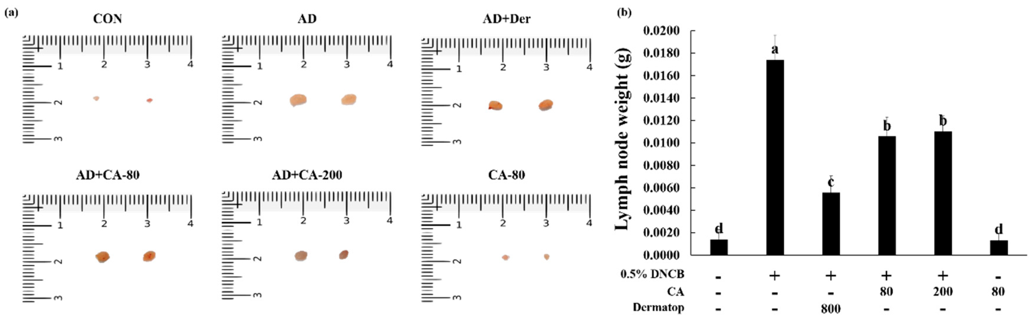 Nutrients 12 00411 g006