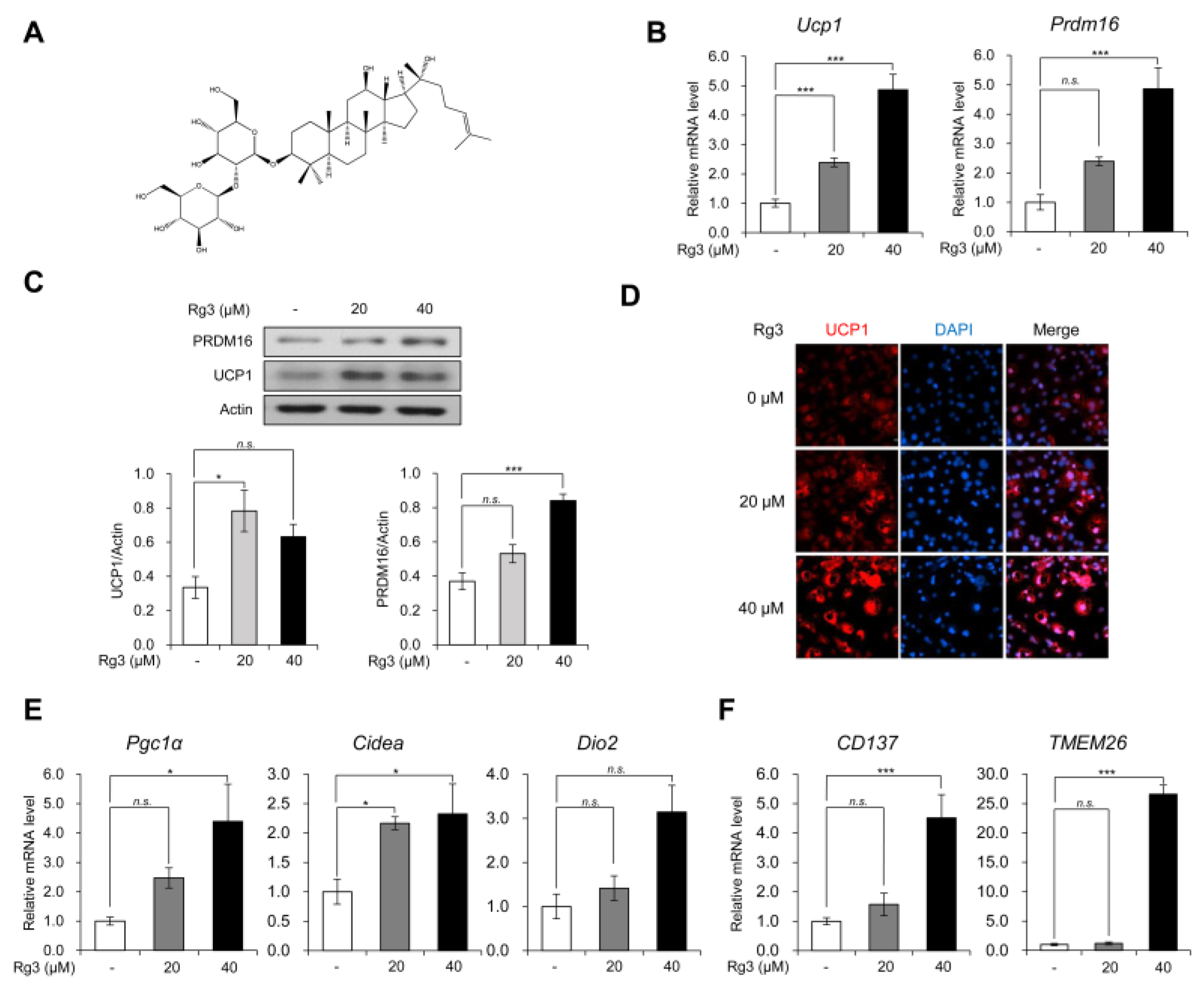 Nutrients 12 00427 g001