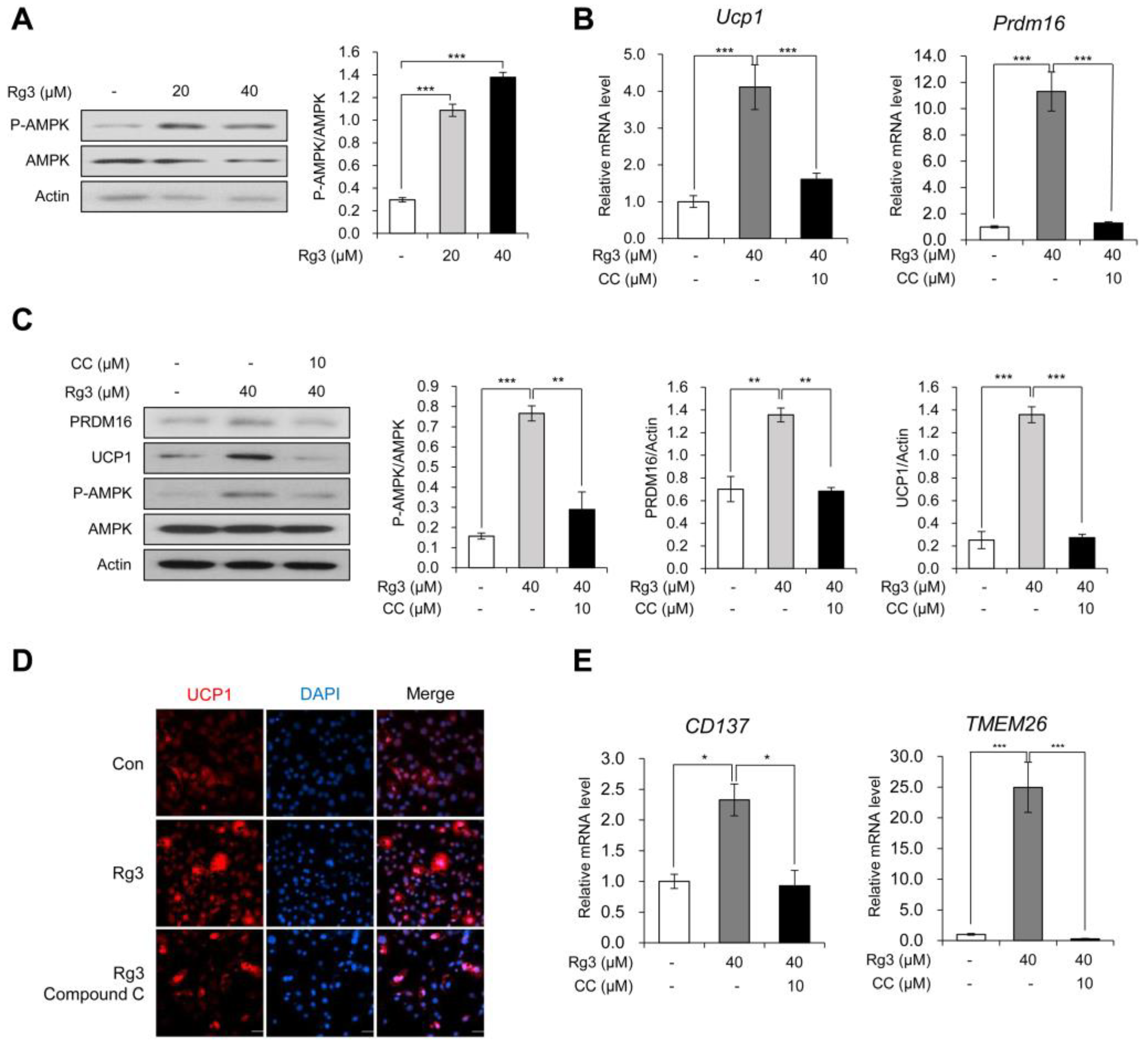 Nutrients 12 00427 g003