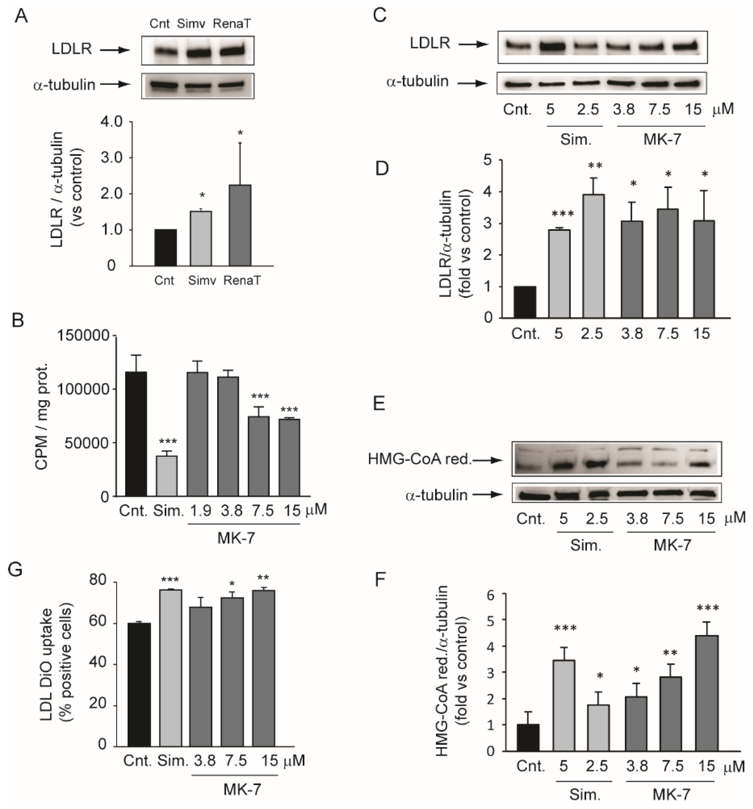 Nutrients 12 00436 g002 Nutrients 12 00436 g002