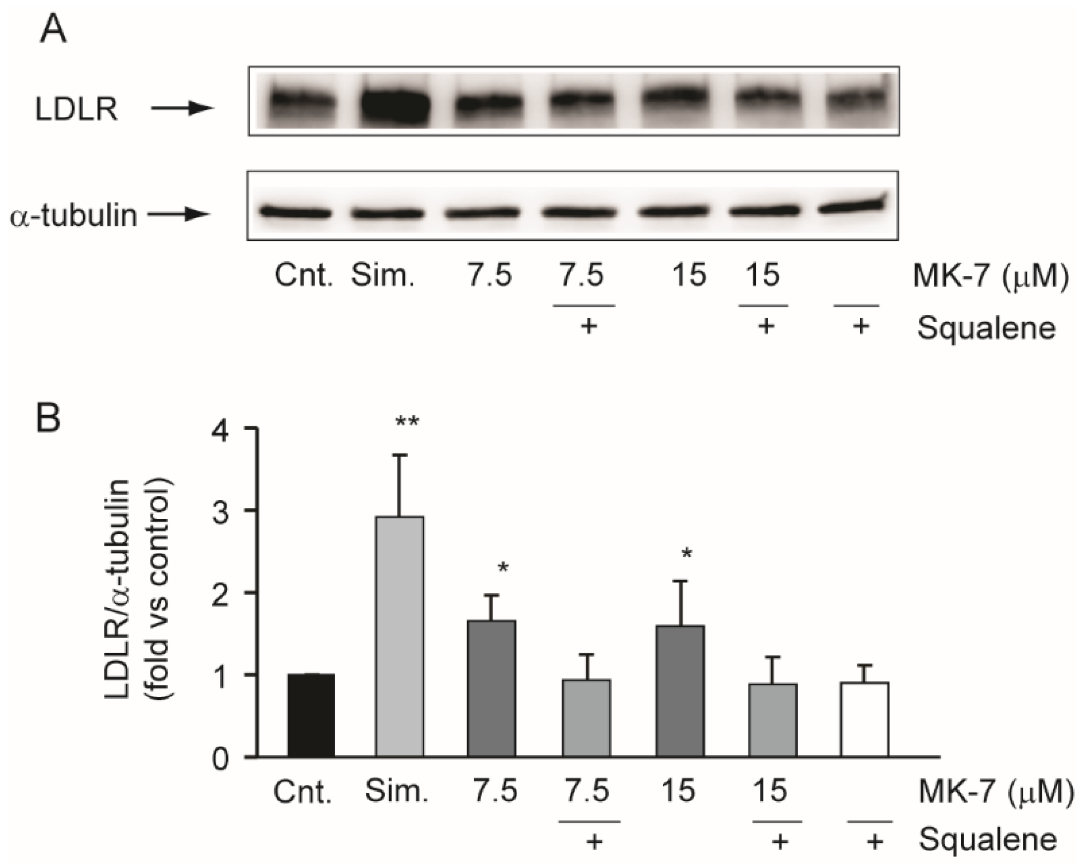 Nutrients 12 00436 g004 Nutrients 12 00436 g004