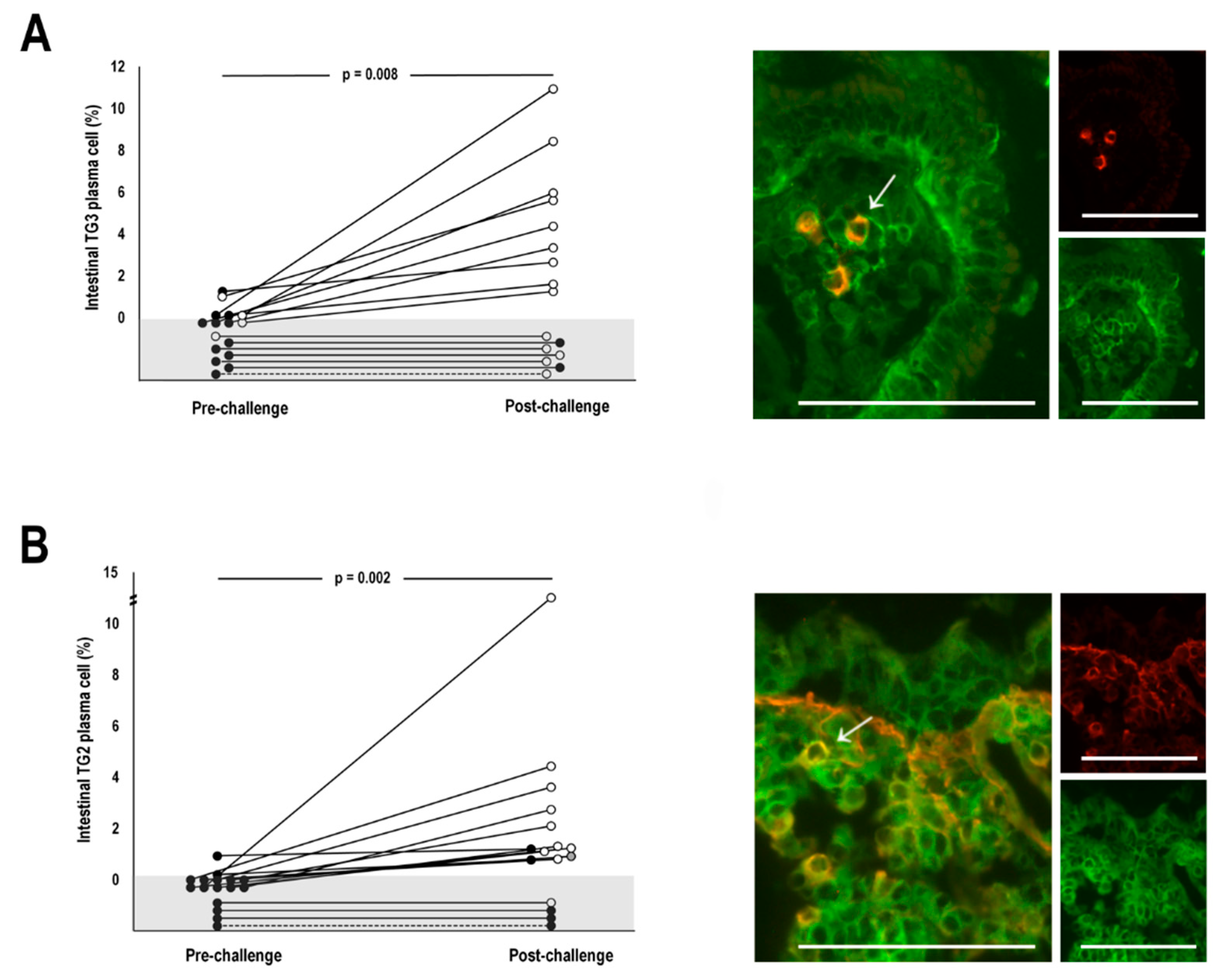 Nutrients 12 00467 g001