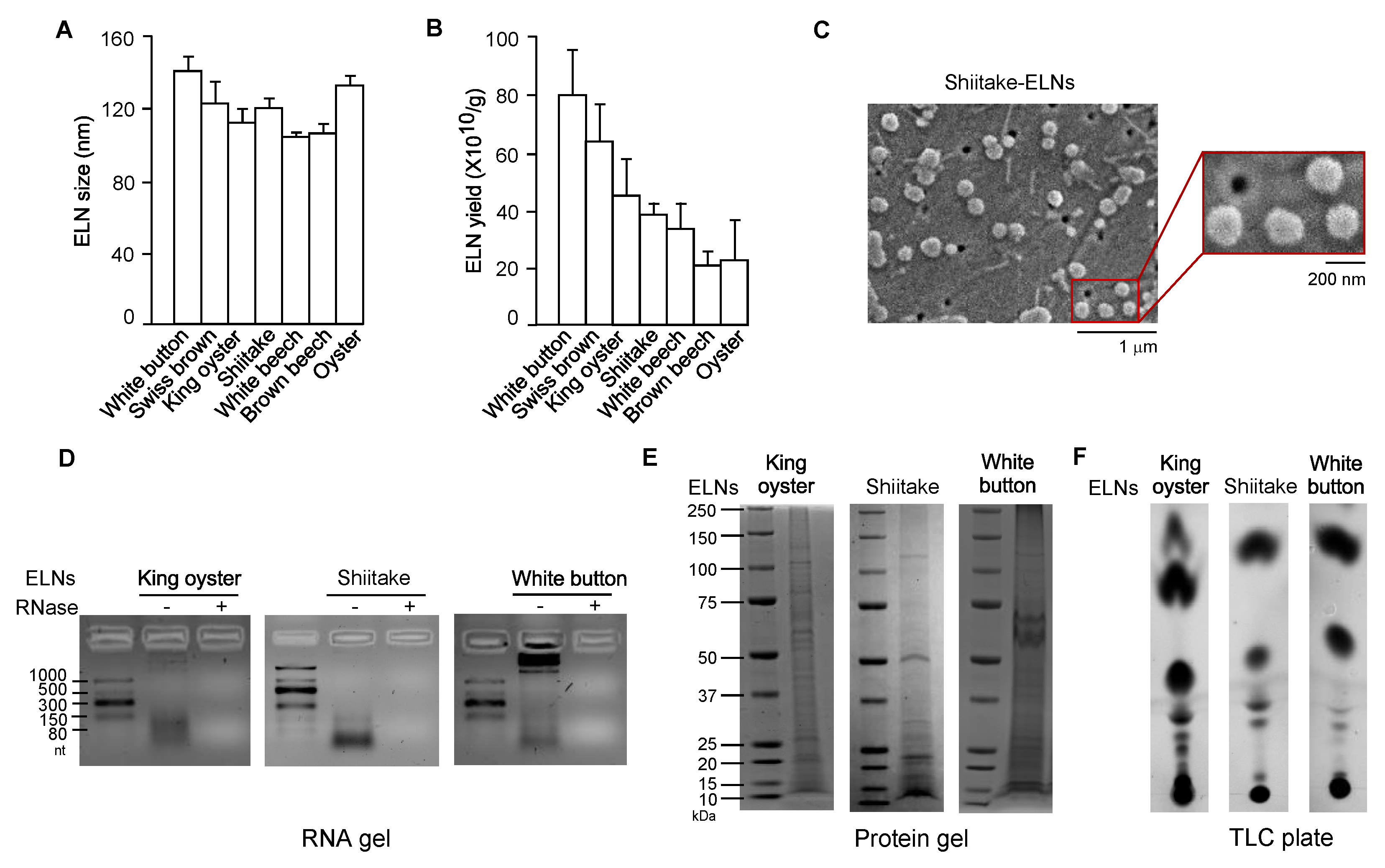 Nutrients 12 00477 g001