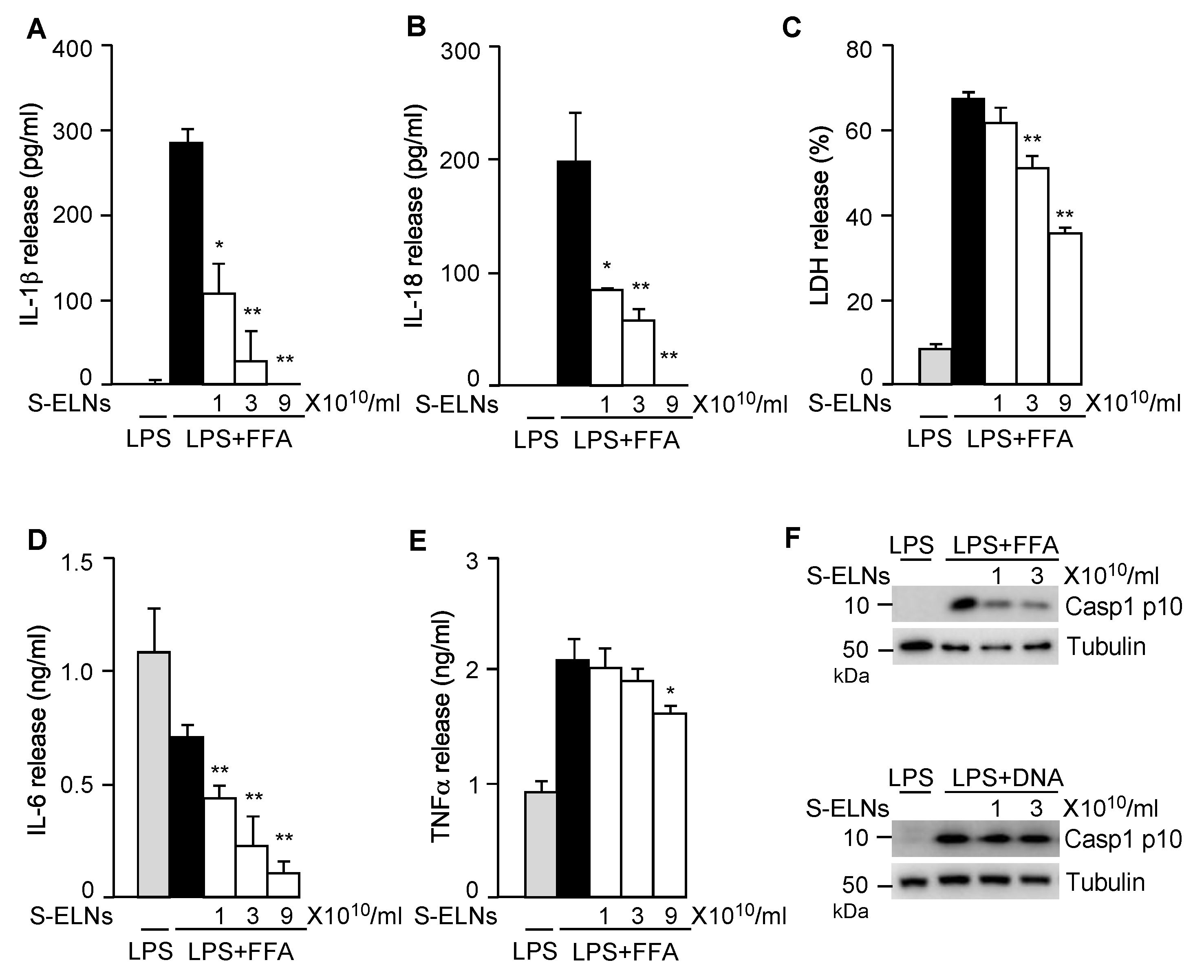 Nutrients 12 00477 g002