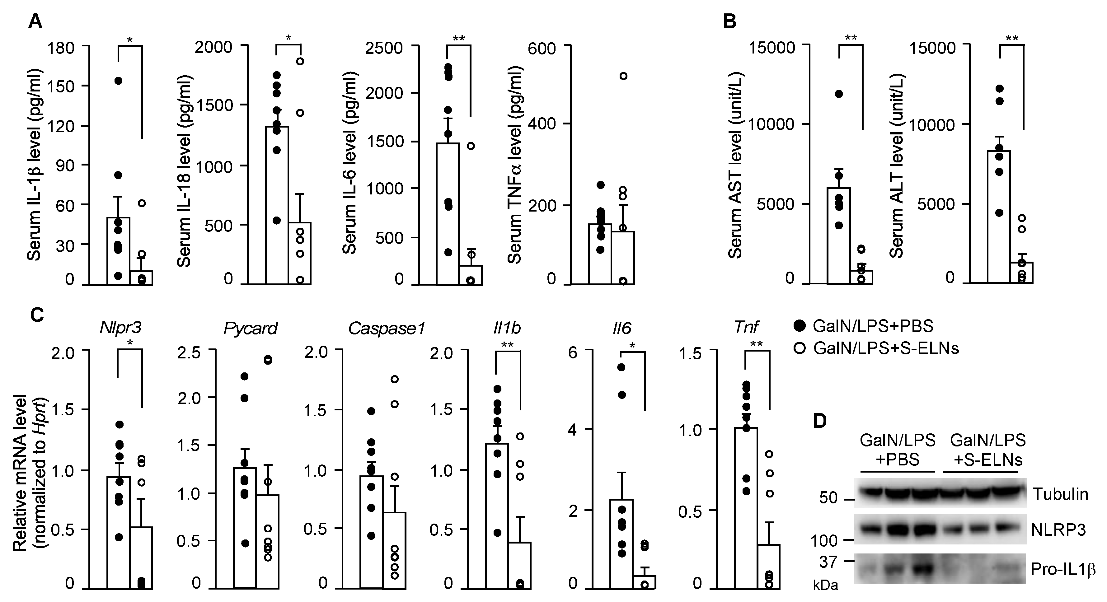 Nutrients 12 00477 g005