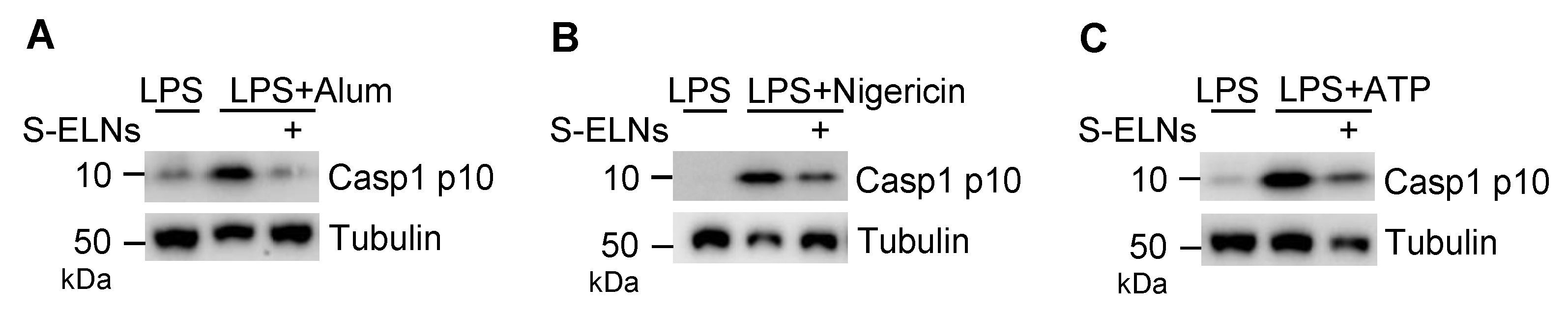Nutrients 12 00477 g0a3