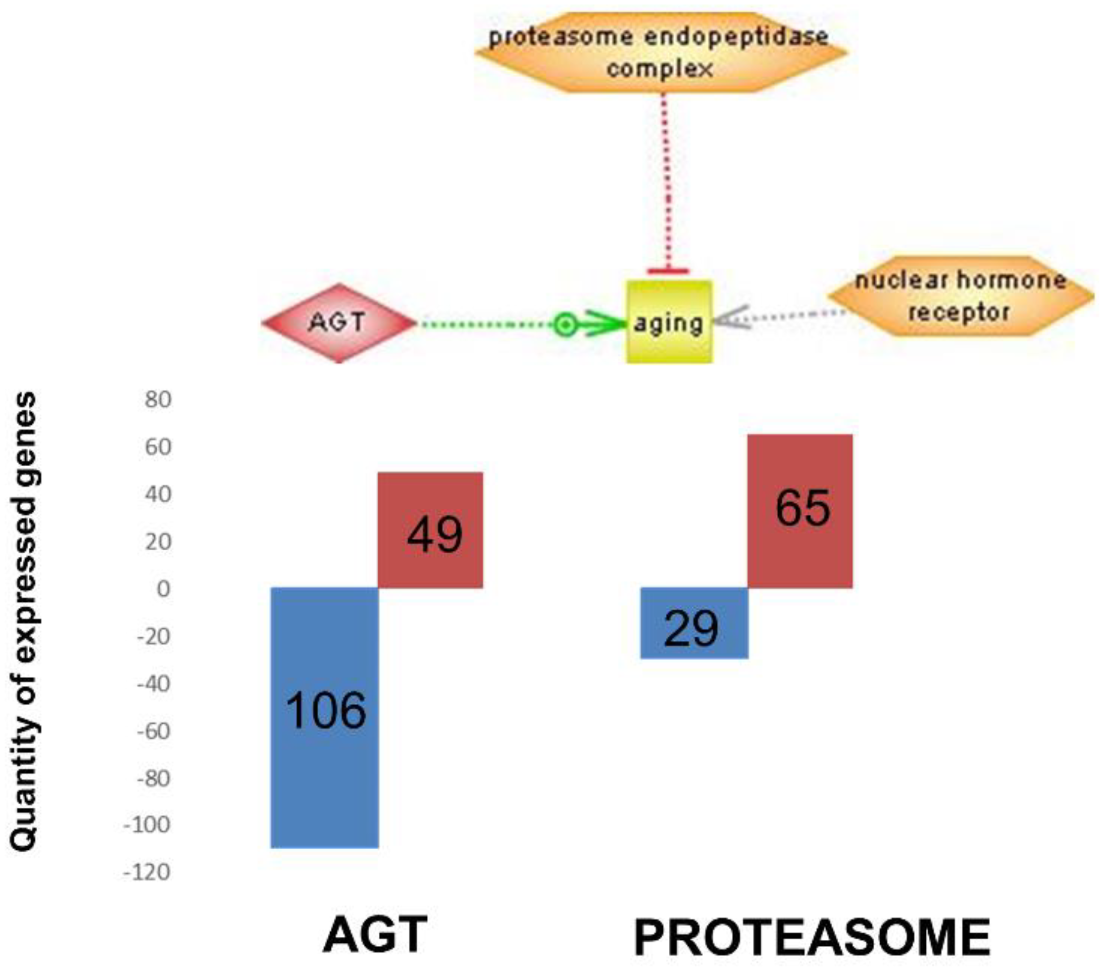 Nutrients 12 00486 g005