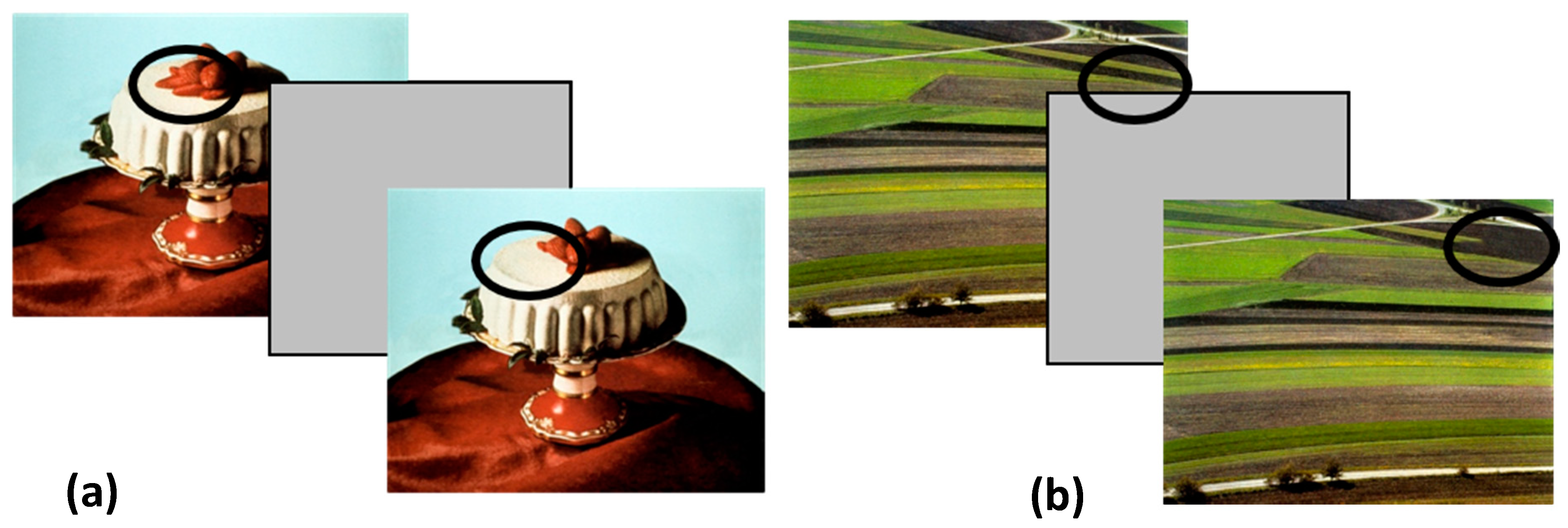 Nutrients 12 00492 g001
