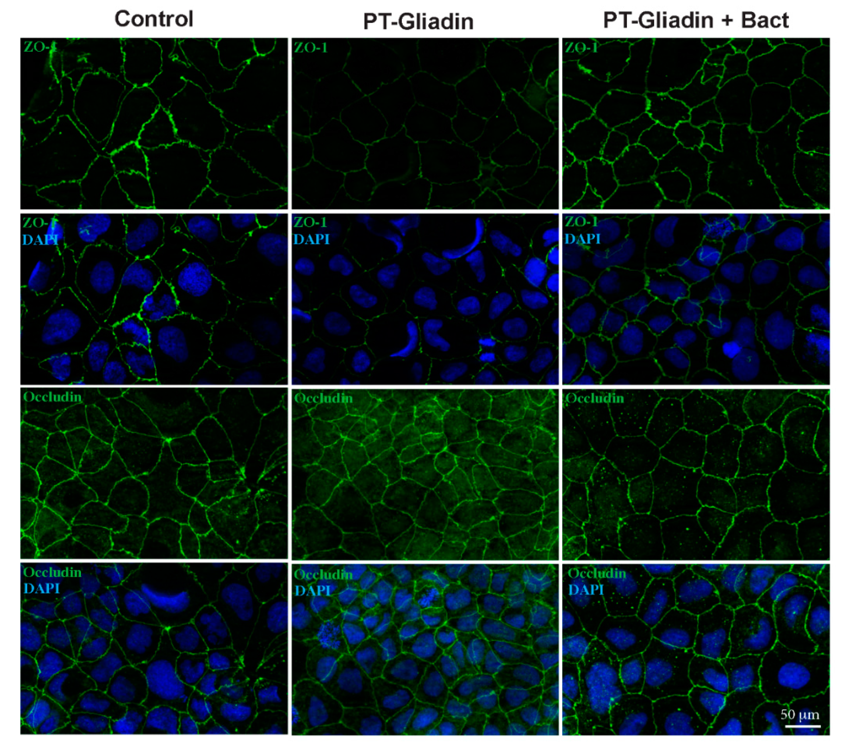 Nutrients 12 00495 g006 Nutrients 12 00495 g006