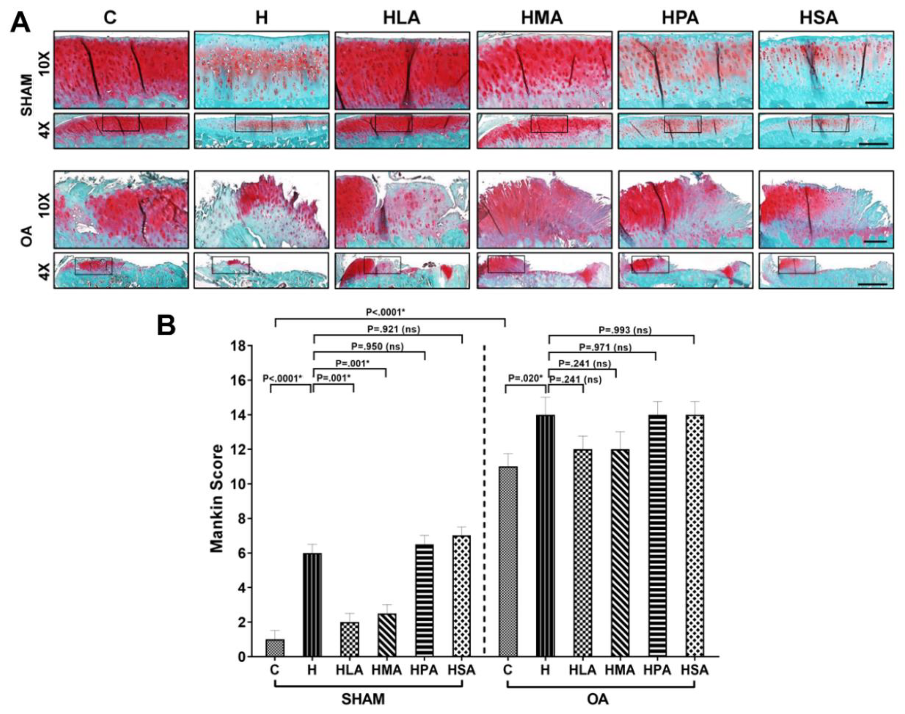 Nutrients 12 00509 g004 Nutrients 12 00509 g004