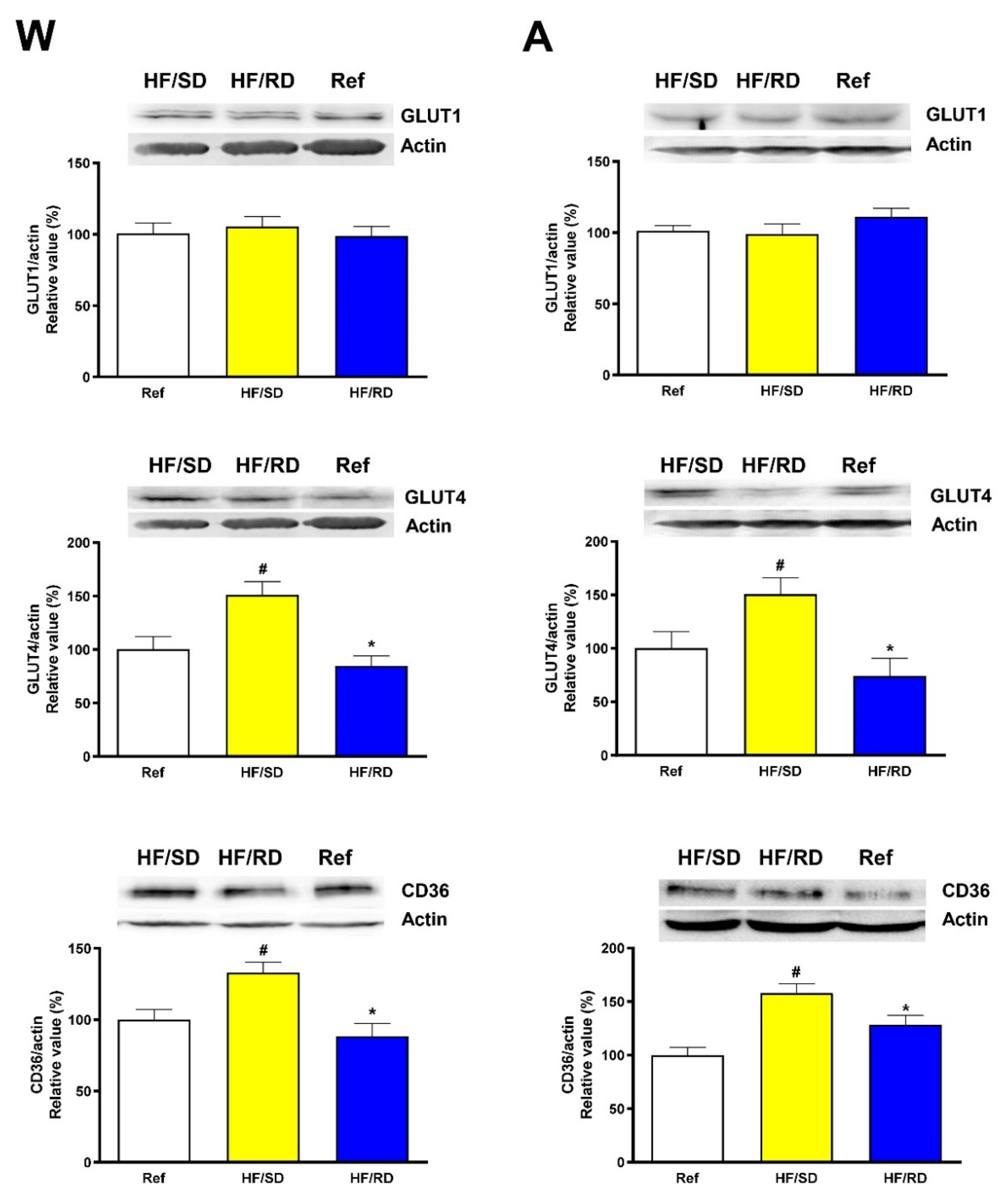 Nutrients 12 00528 g003