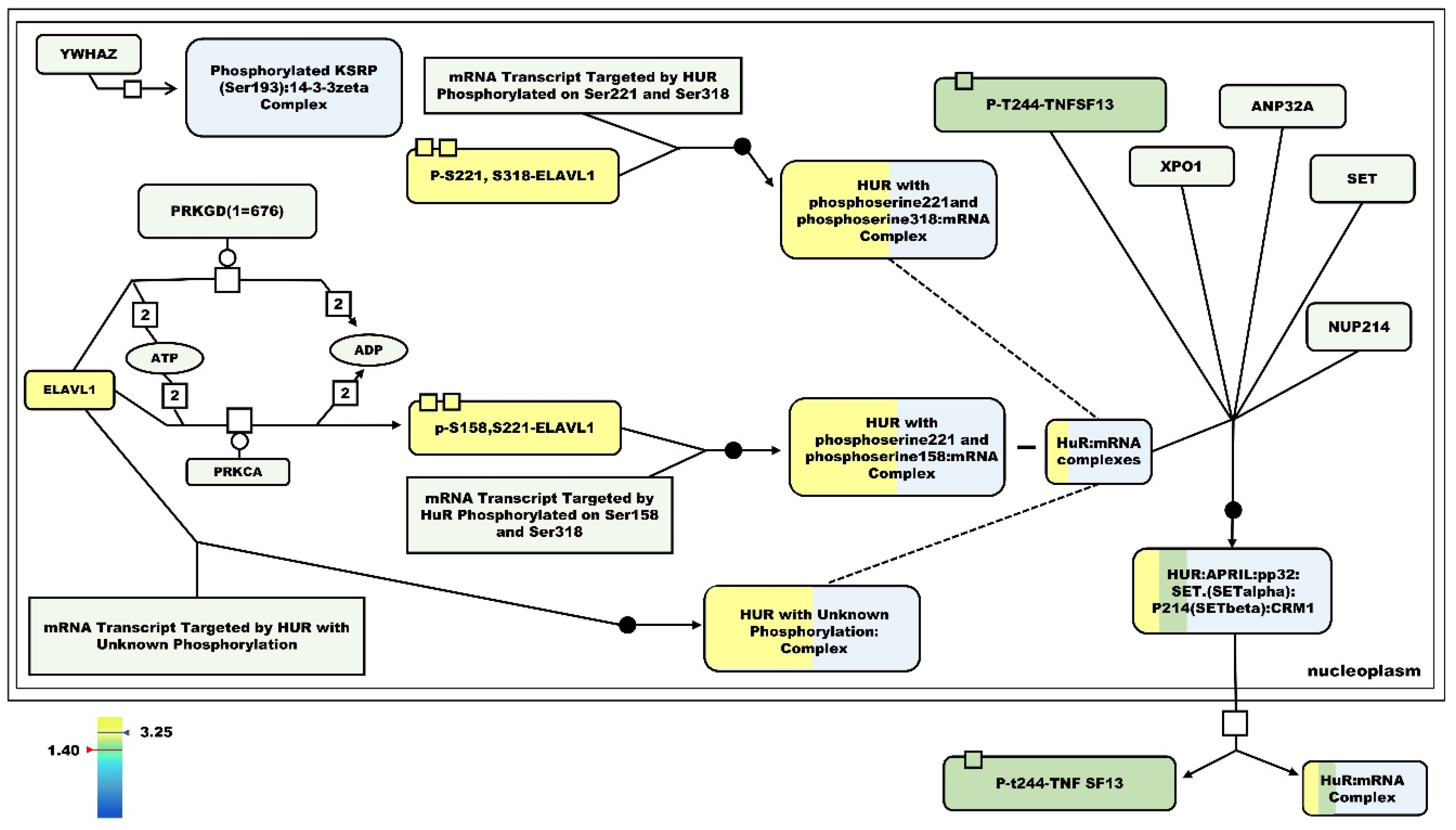 Nutrients 12 00528 g009