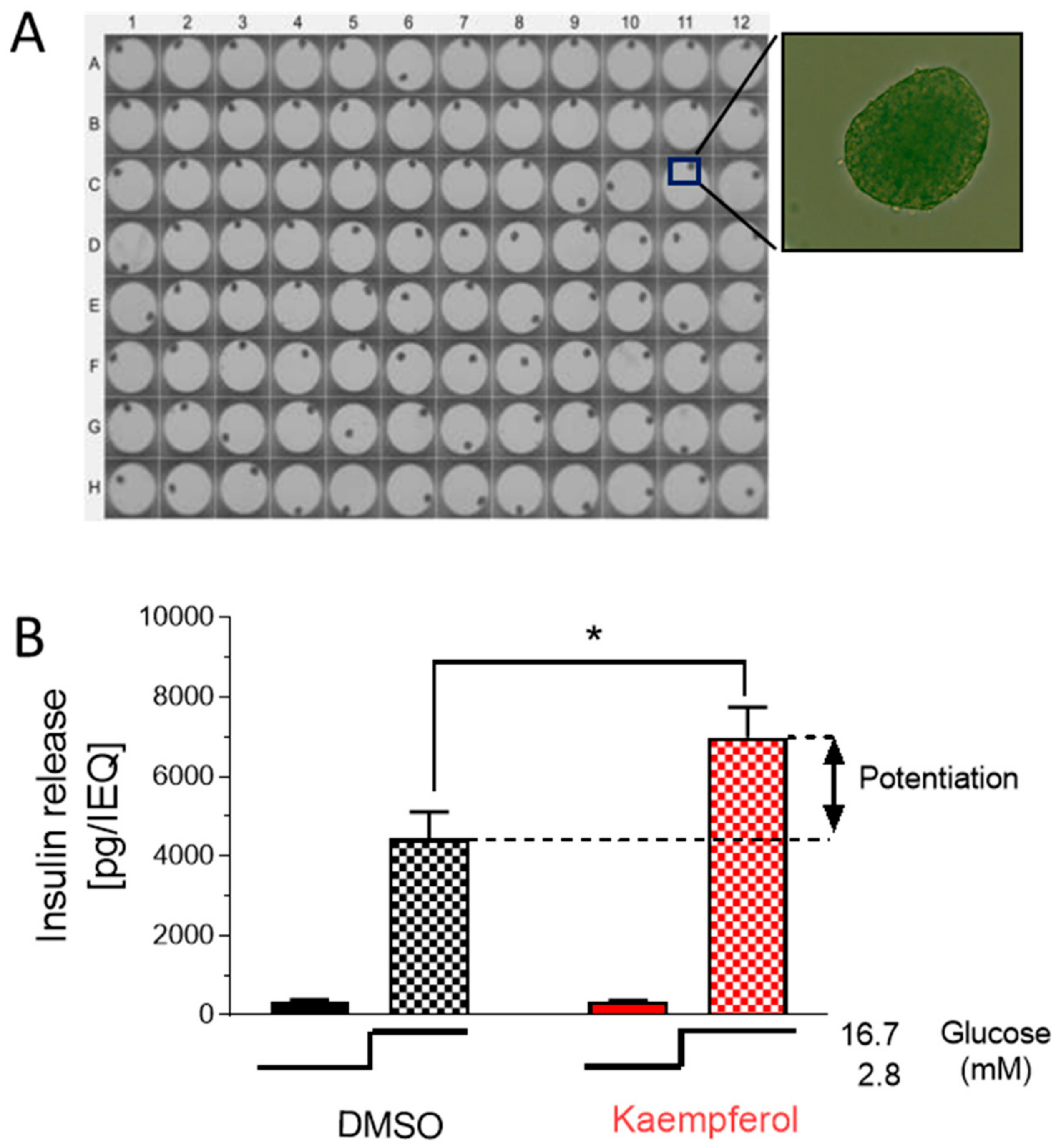 Nutrients 12 00538 g006 Nutrients 12 00538 g006