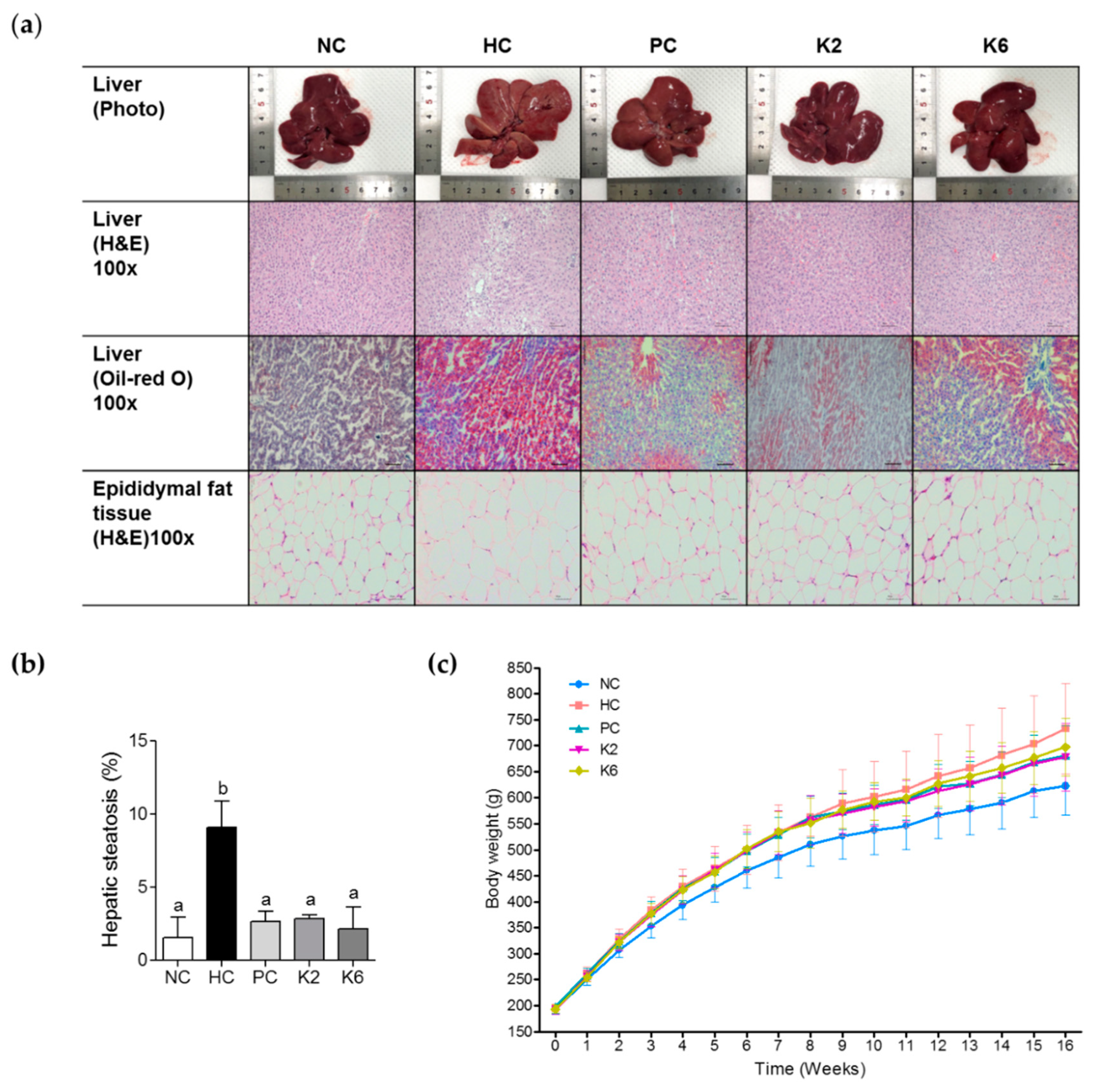 Nutrients 12 00542 g002 Nutrients 12 00542 g002