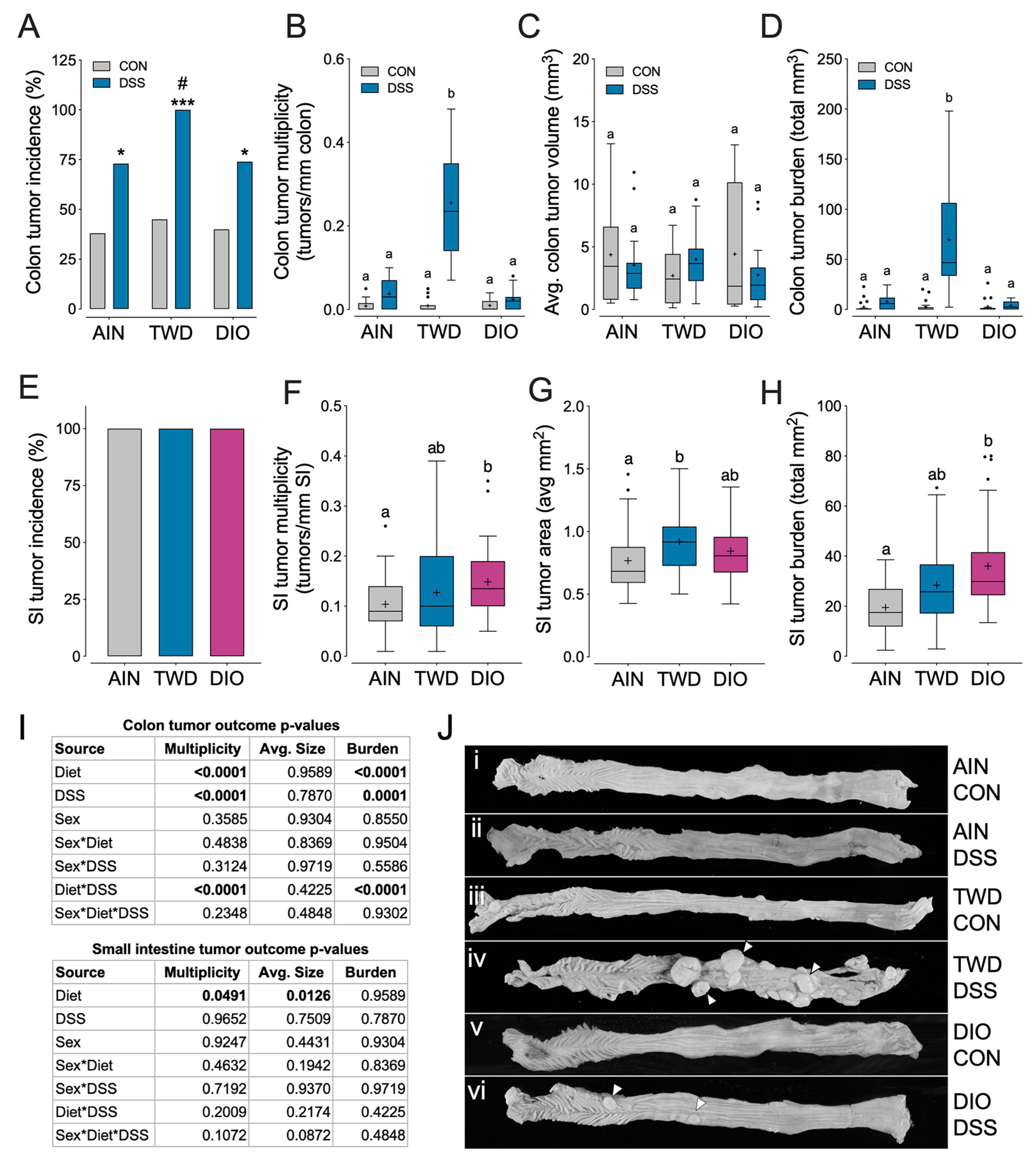 Nutrients 12 00544 g003 Nutrients 12 00544 g003