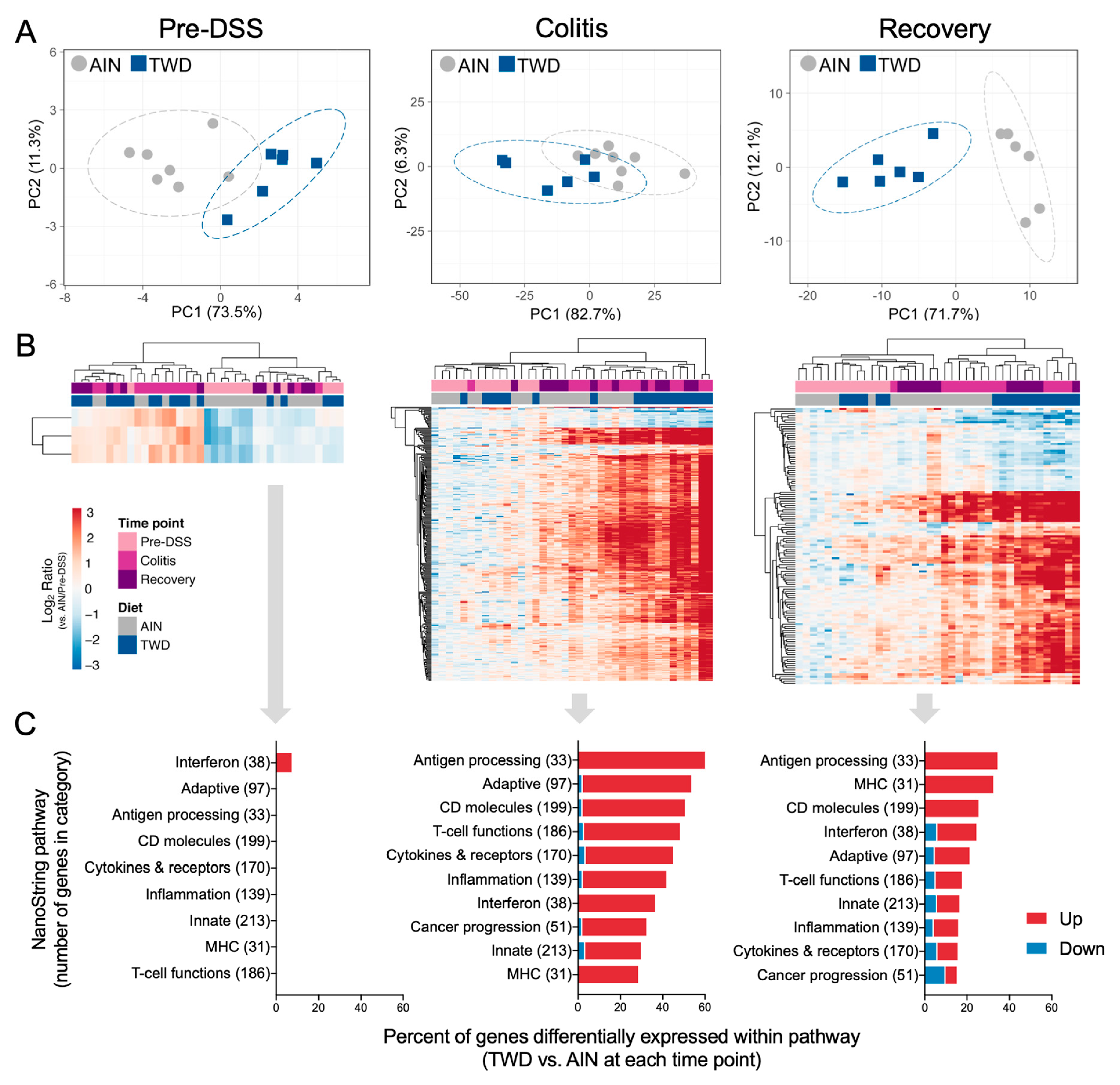 Nutrients 12 00544 g007 Nutrients 12 00544 g007