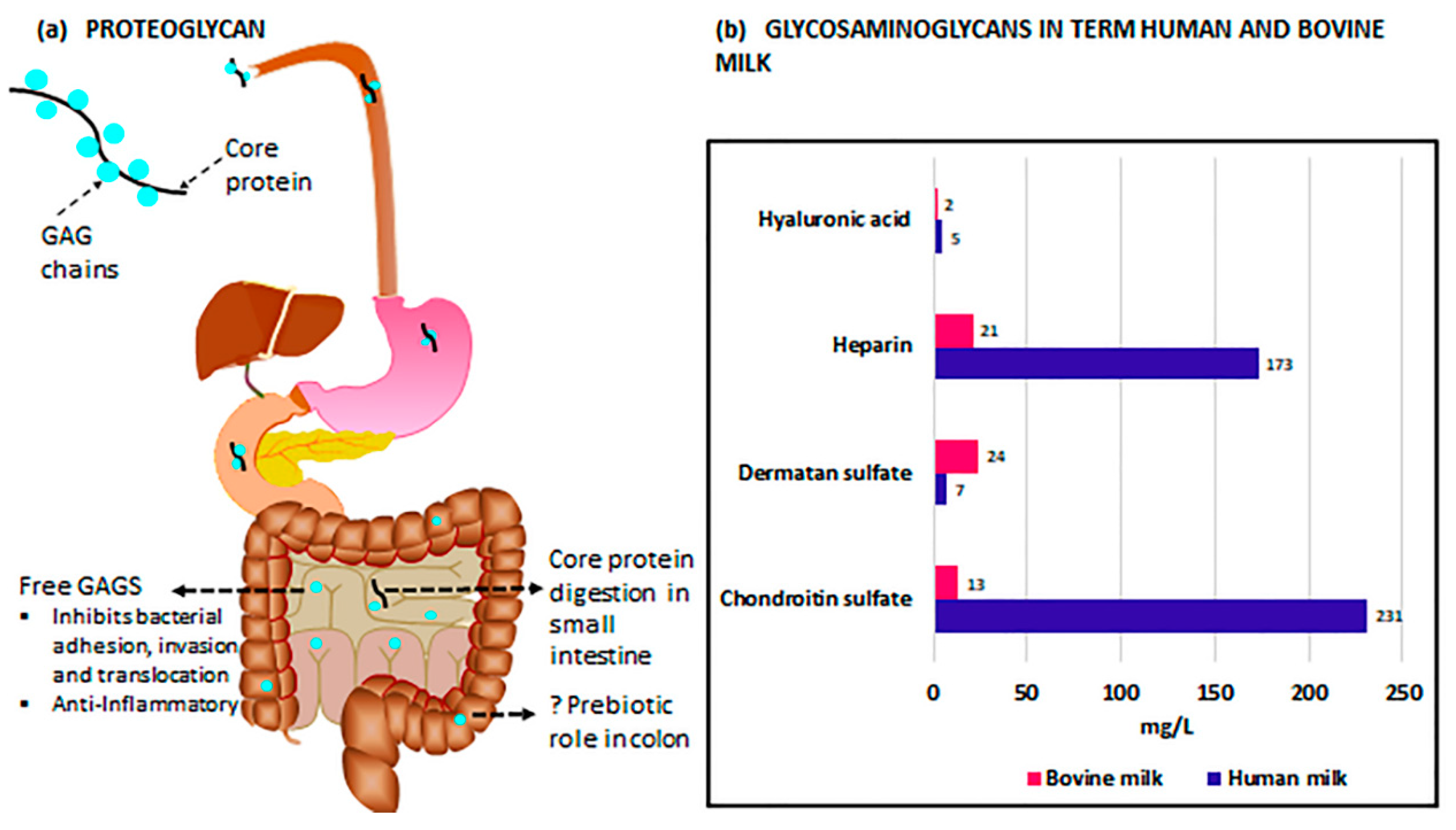 Nutrients 12 00546 g001