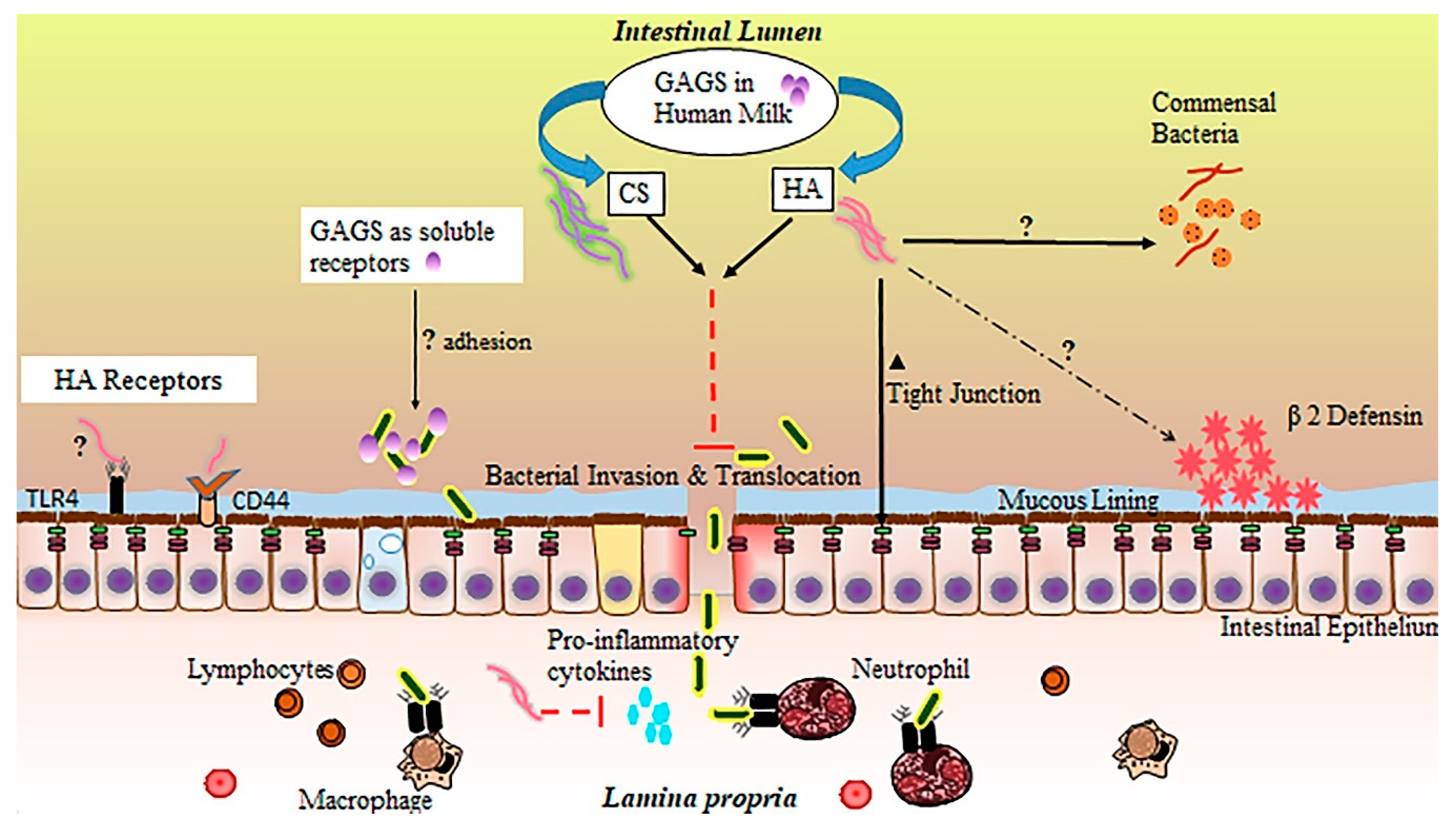Nutrients 12 00546 g002