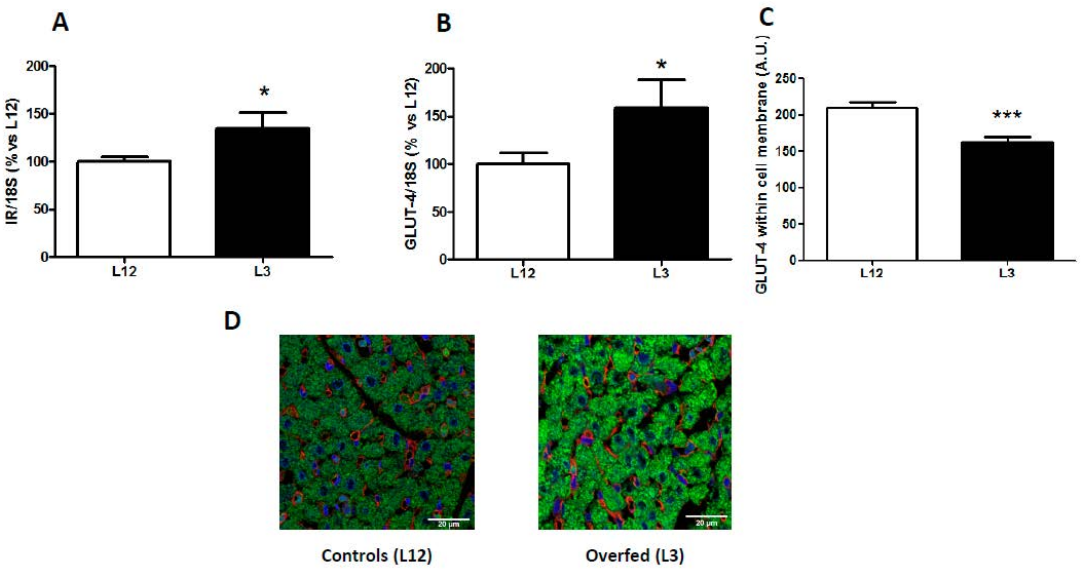Nutrients 12 00549 g001 Nutrients 12 00549 g001