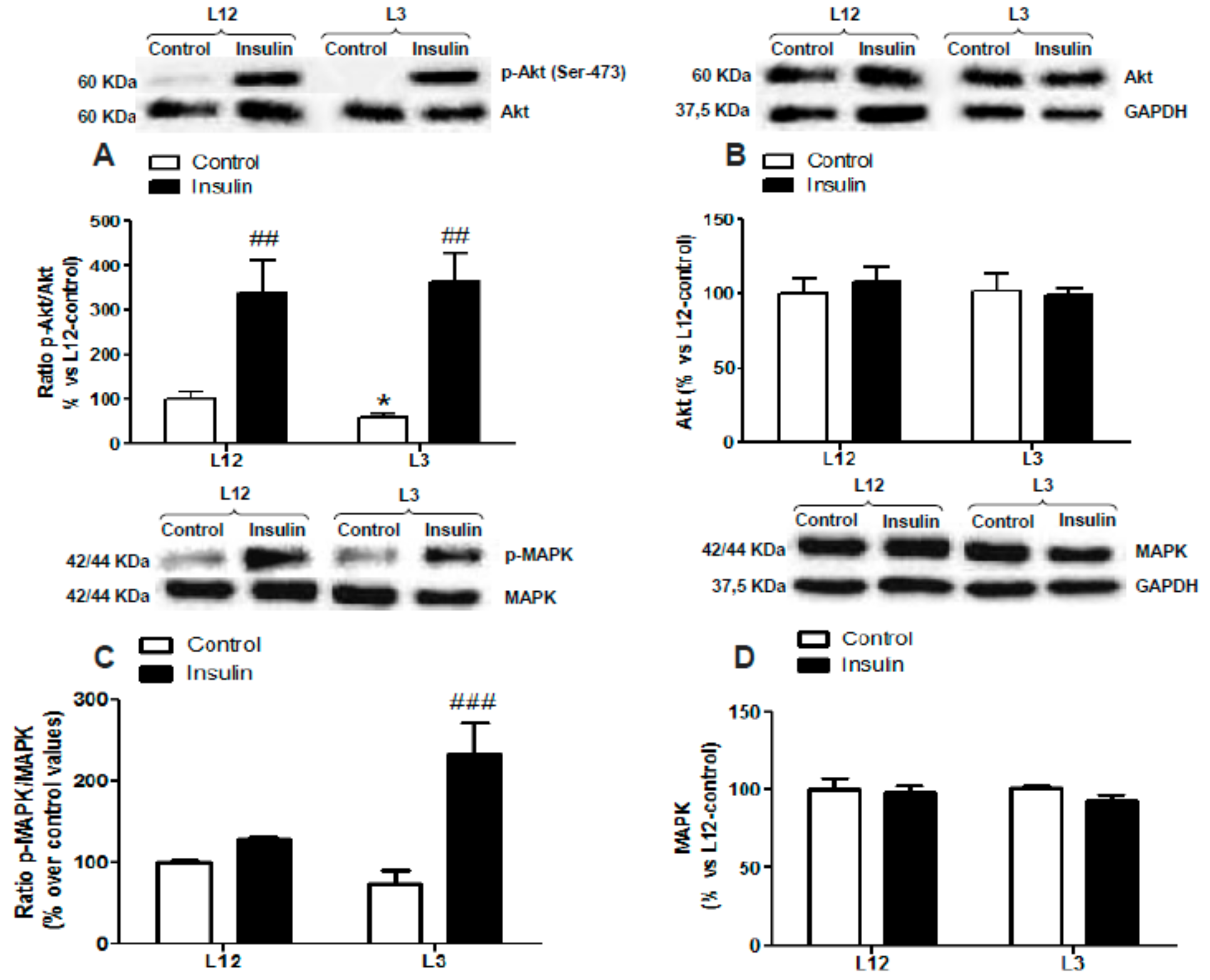 Nutrients 12 00549 g003 Nutrients 12 00549 g003