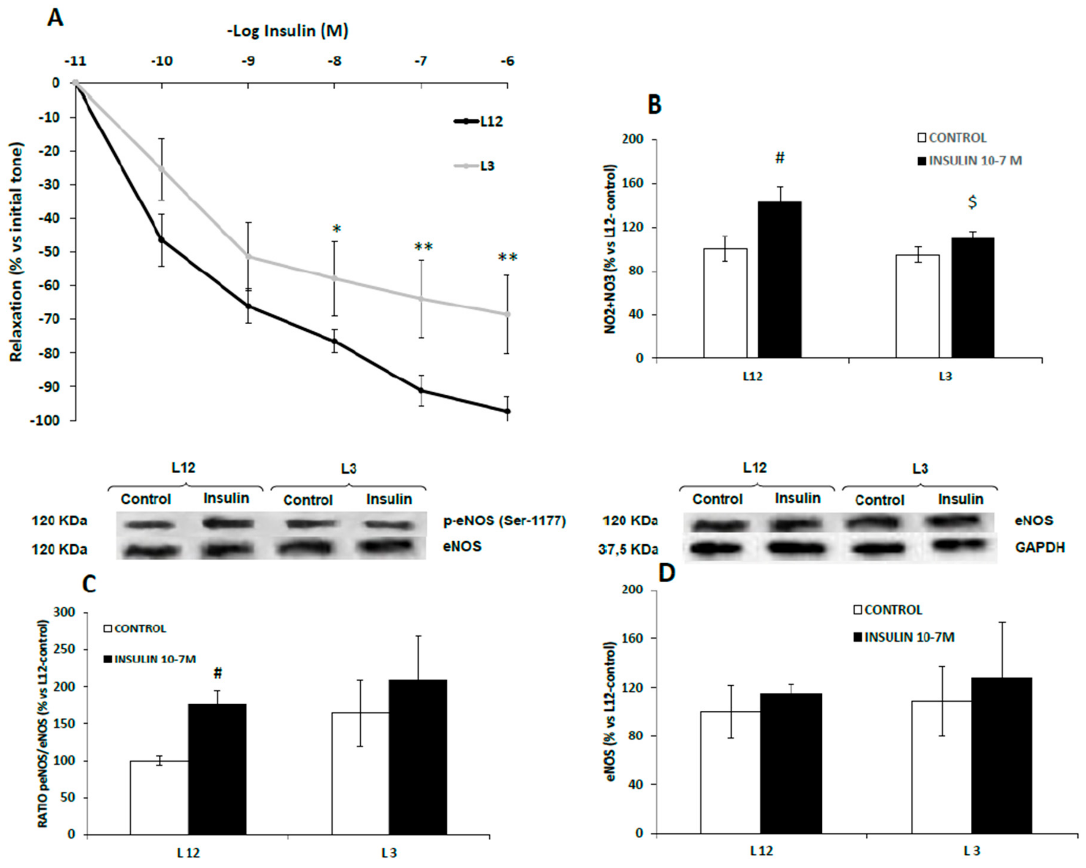 Nutrients 12 00549 g005 Nutrients 12 00549 g005
