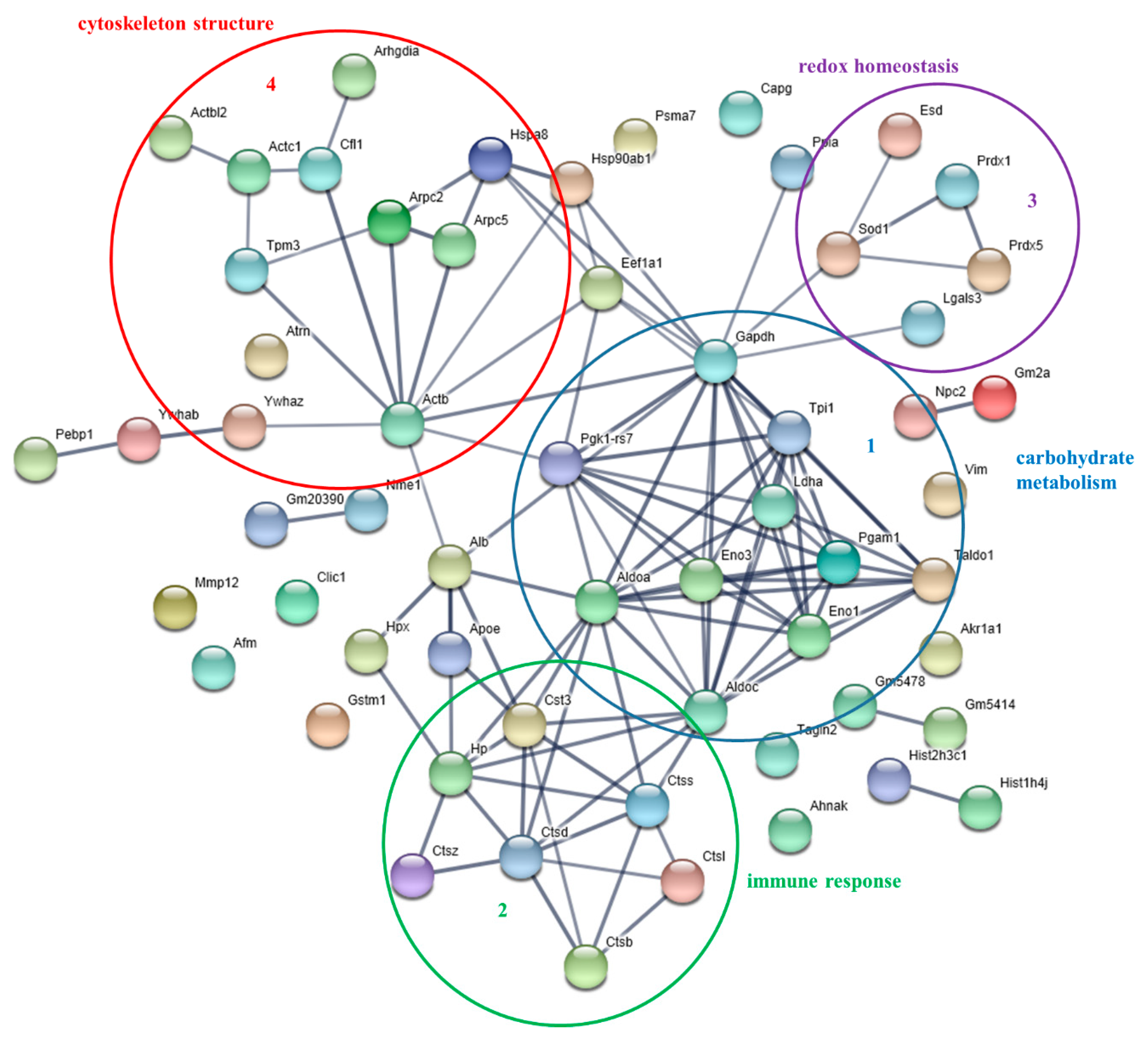 Nutrients 12 00555 g002