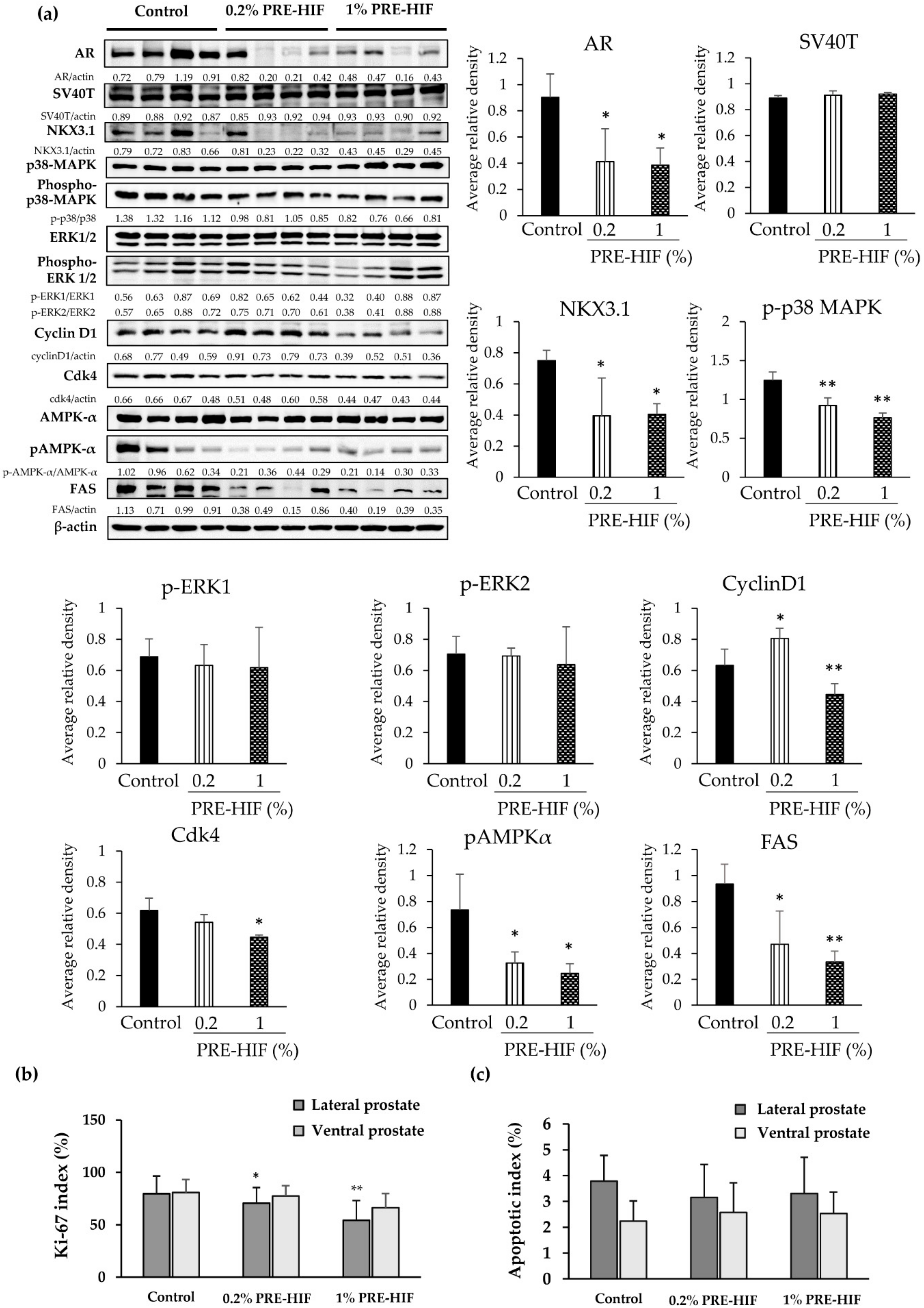 Nutrients 12 00558 g003