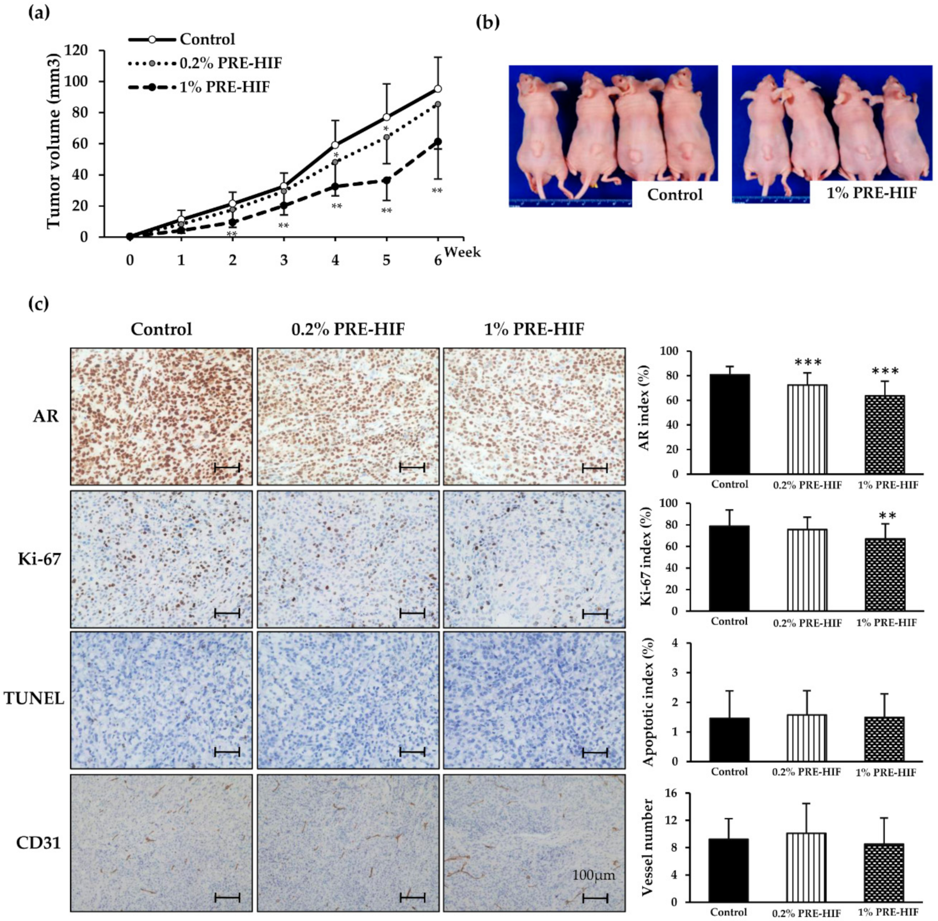 Nutrients 12 00558 g004