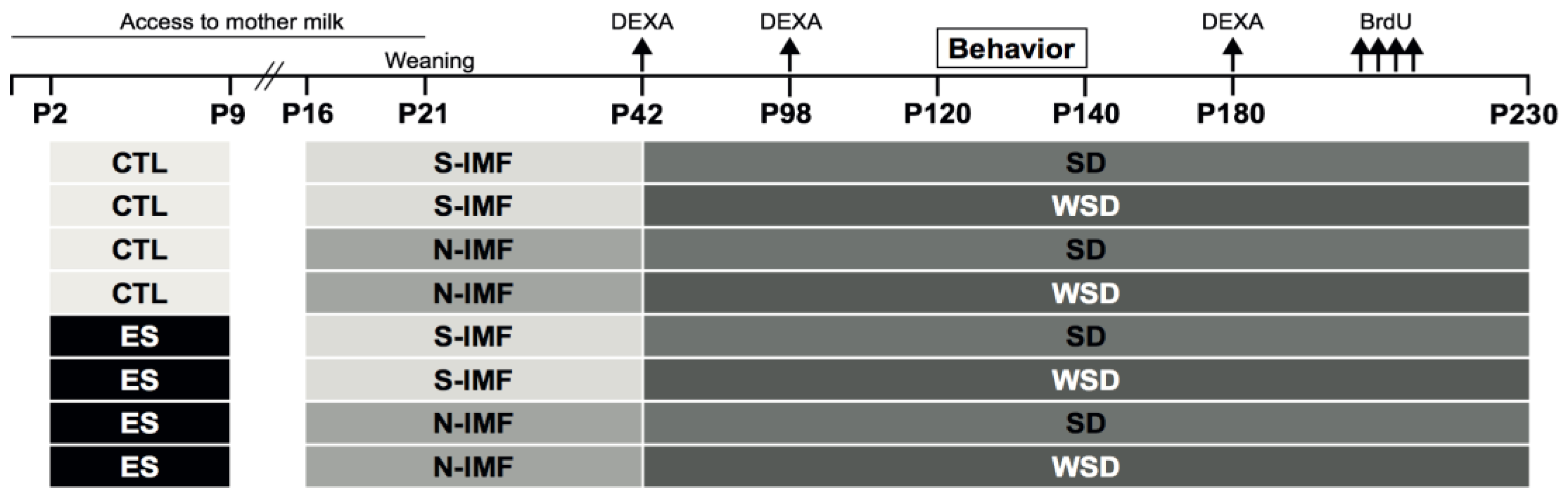 Nutrients 12 00570 g001 Nutrients 12 00570 g001