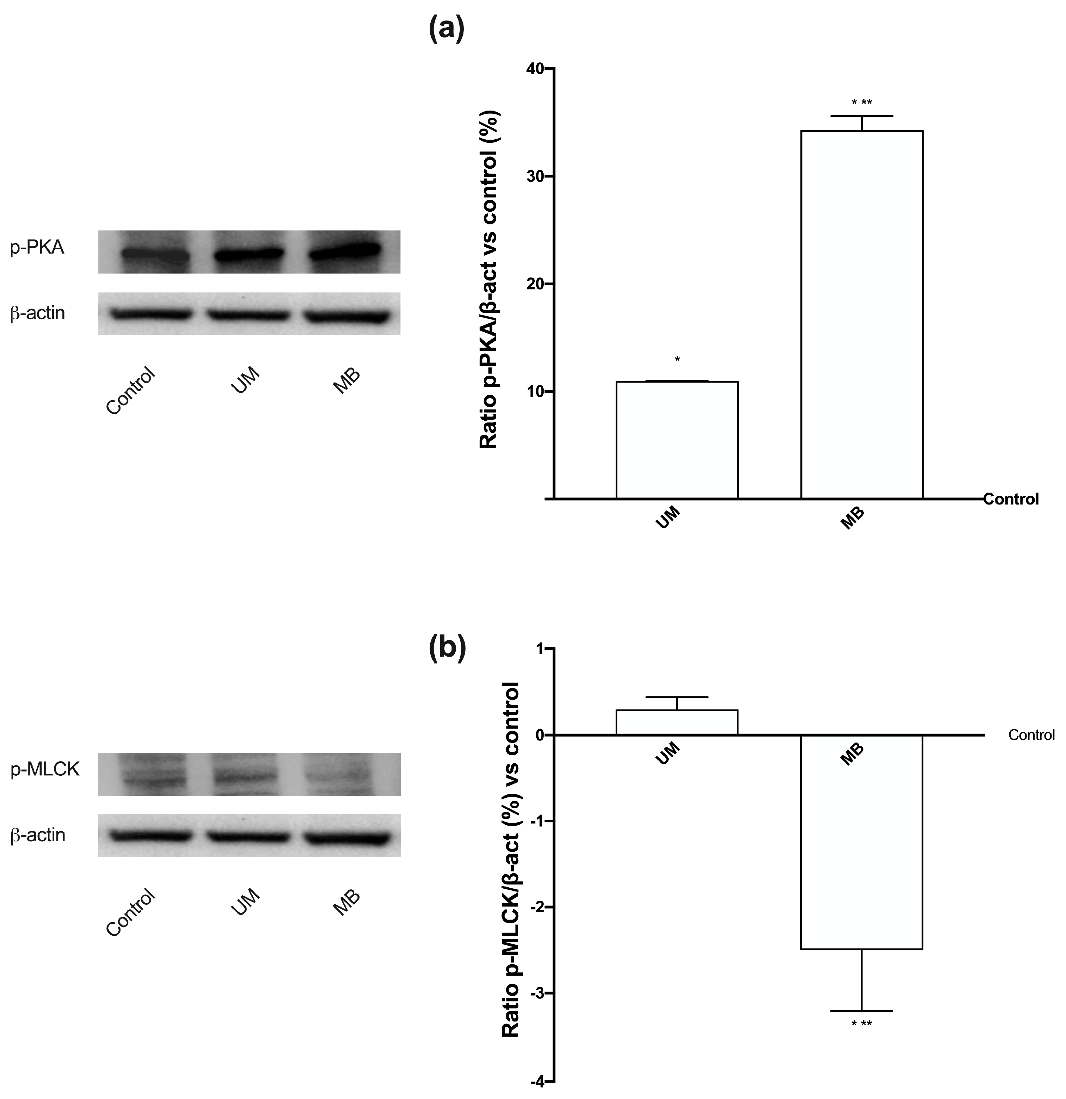 Nutrients 12 00573 g008 Nutrients 12 00573 g008