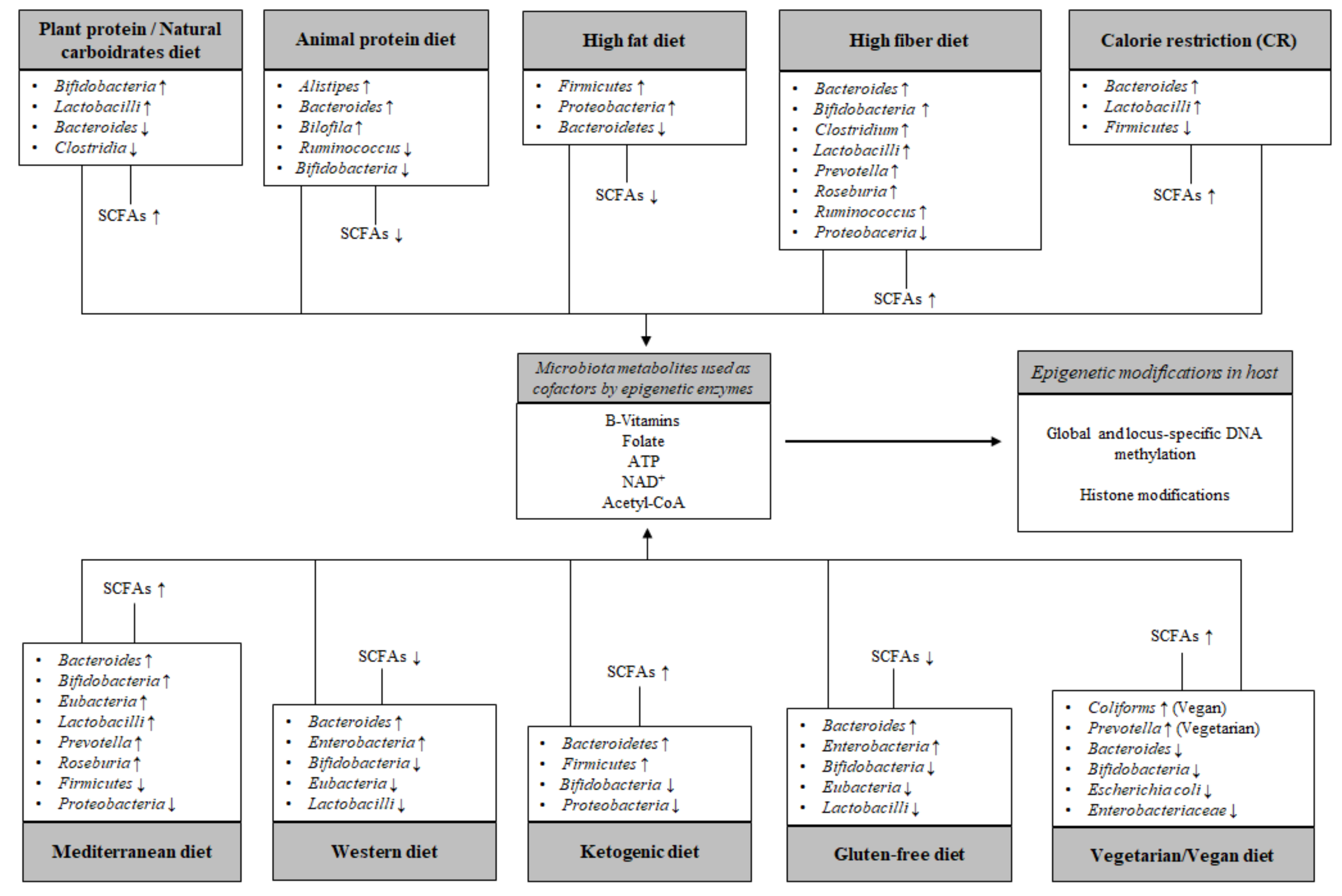 Nutrients 12 00597 g001 Nutrients 12 00597 g001
