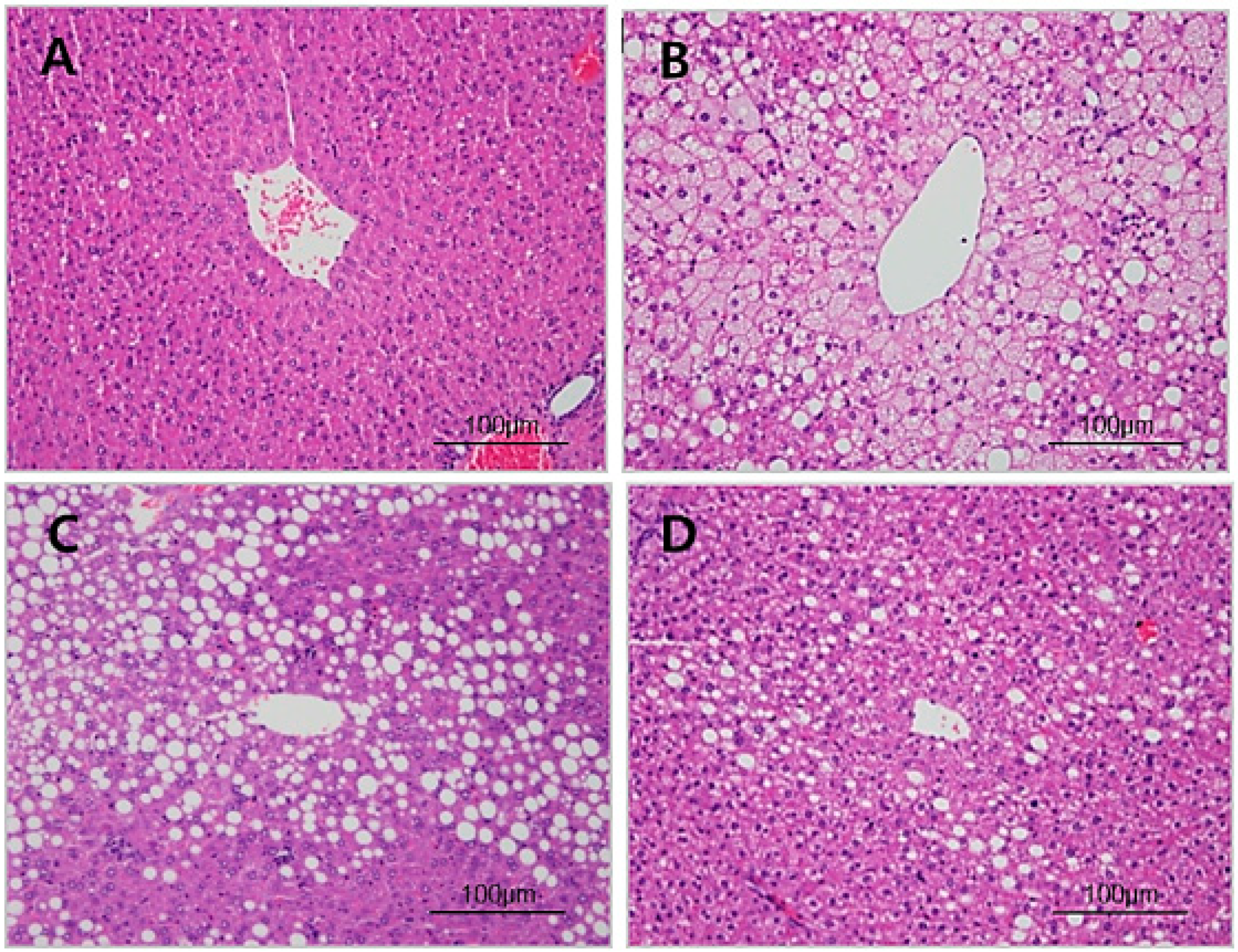 Nutrients 12 00604 g003