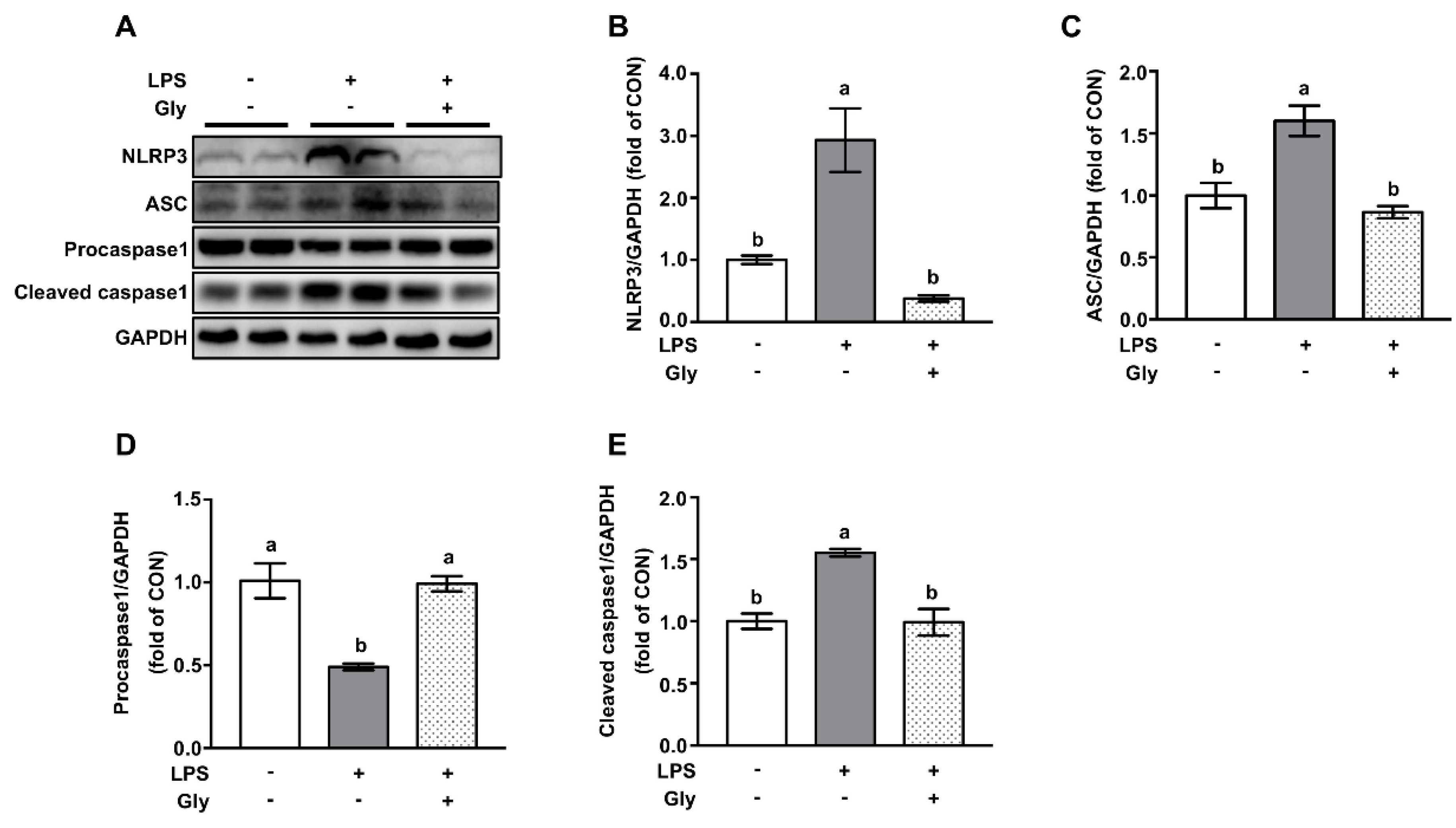 Nutrients 12 00611 g004