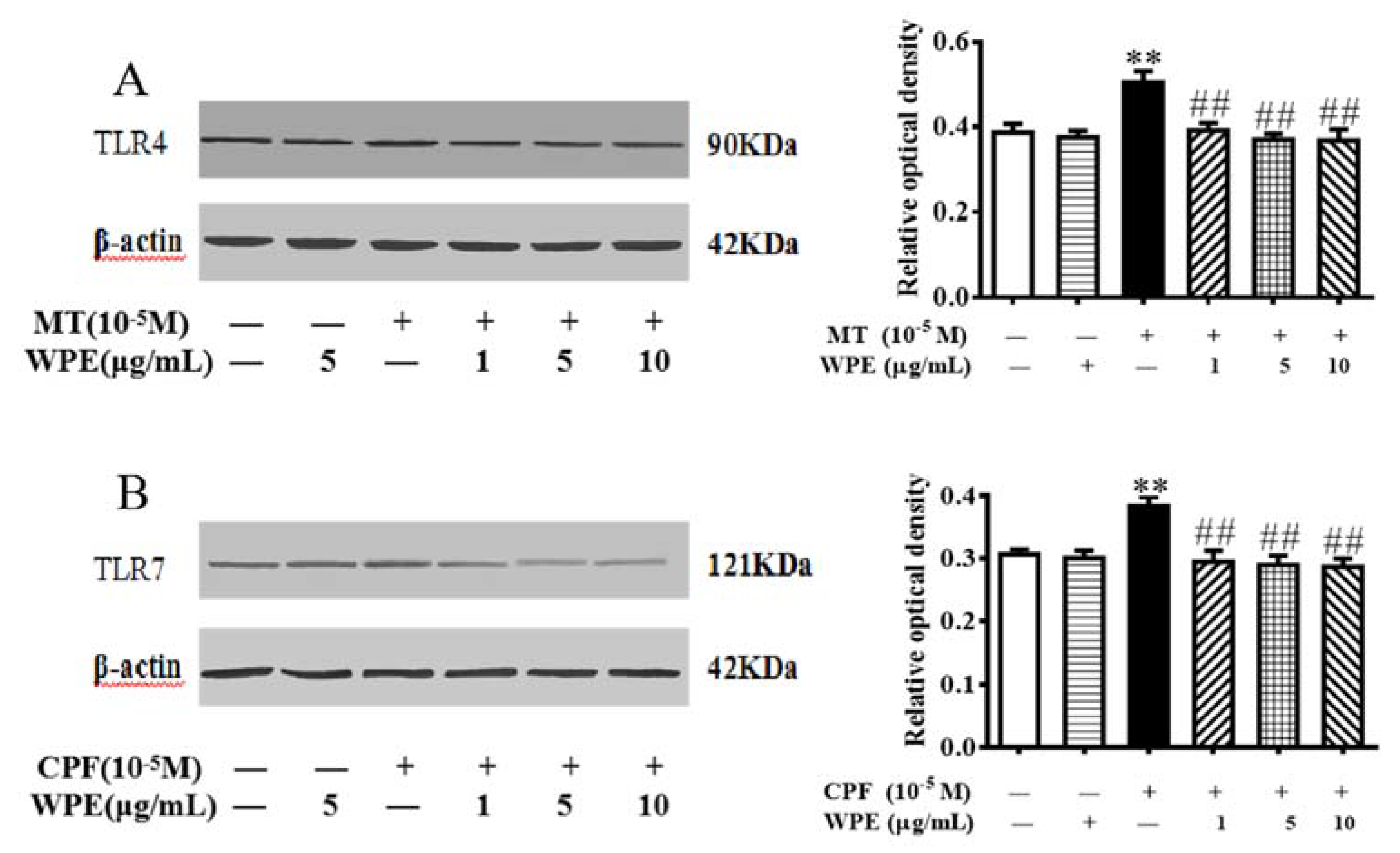 Nutrients 12 00616 g011