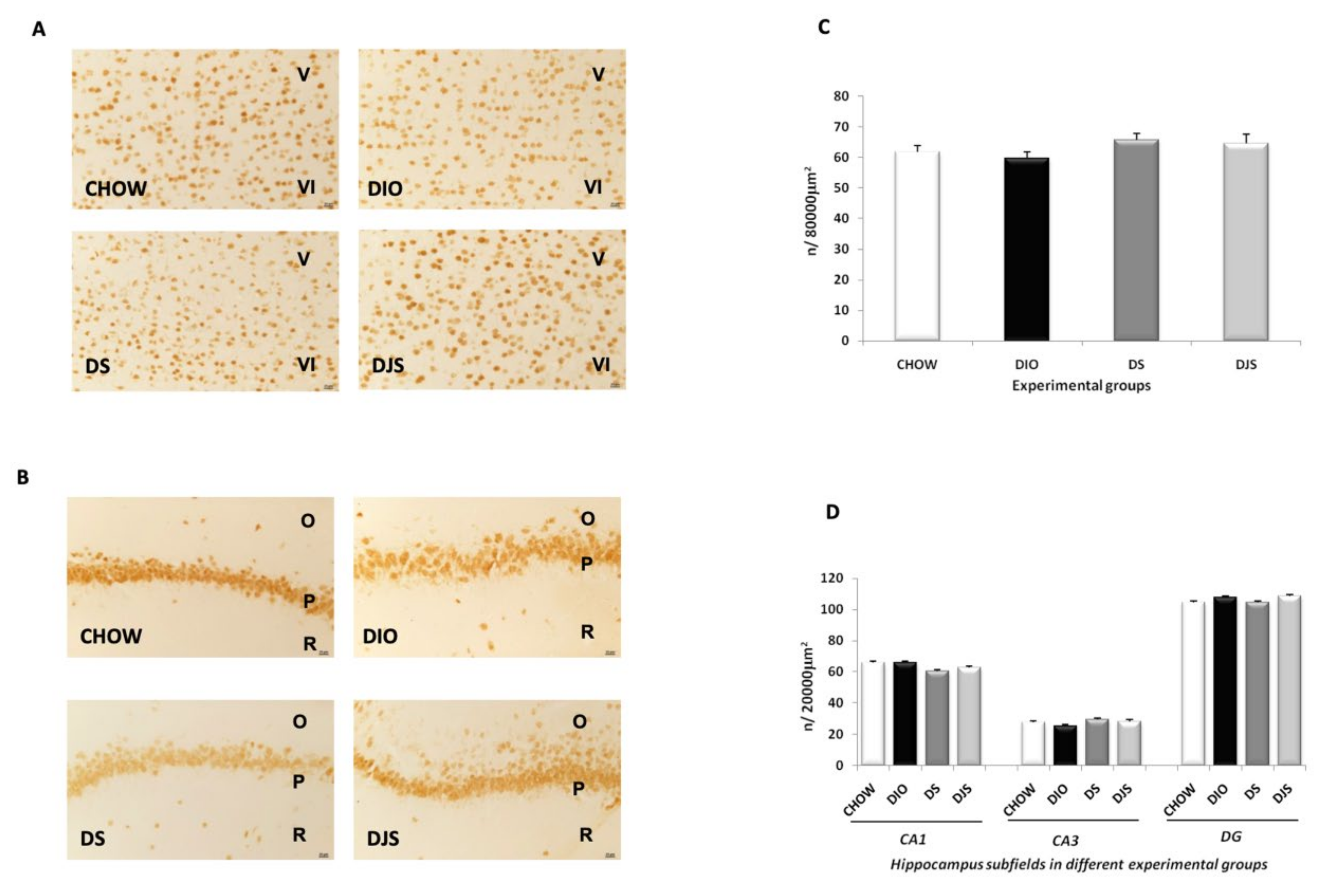 Nutrients 12 00623 g002 Nutrients 12 00623 g002