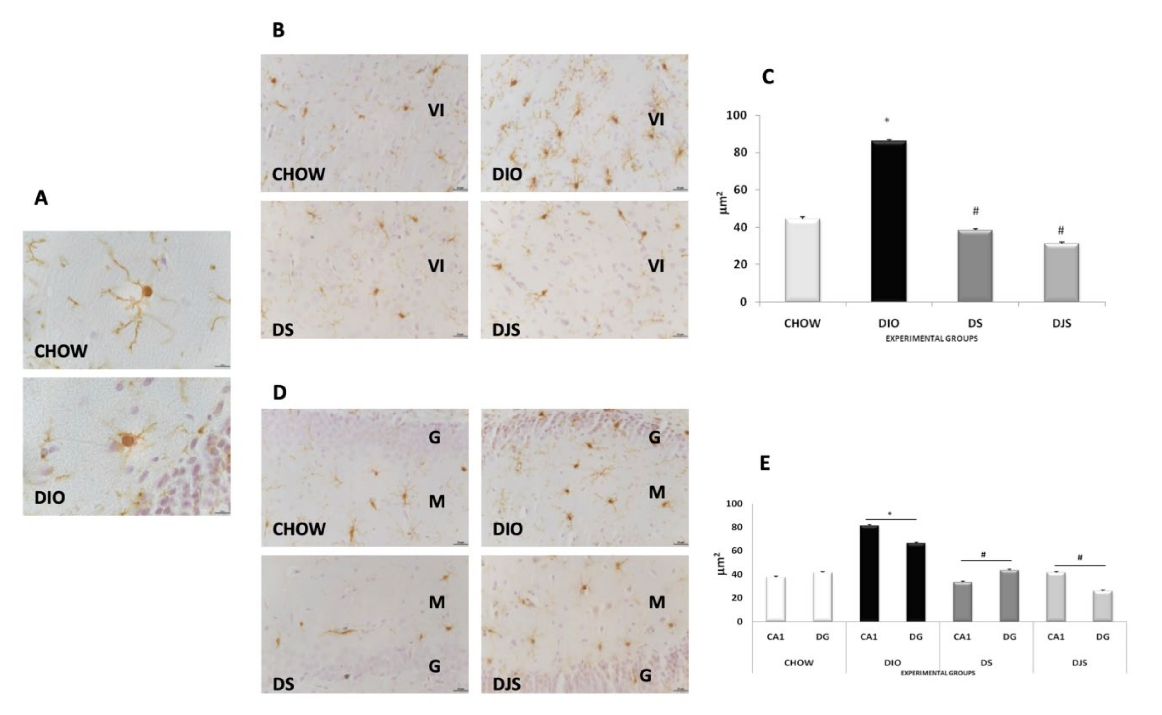 Nutrients 12 00623 g005 Nutrients 12 00623 g005
