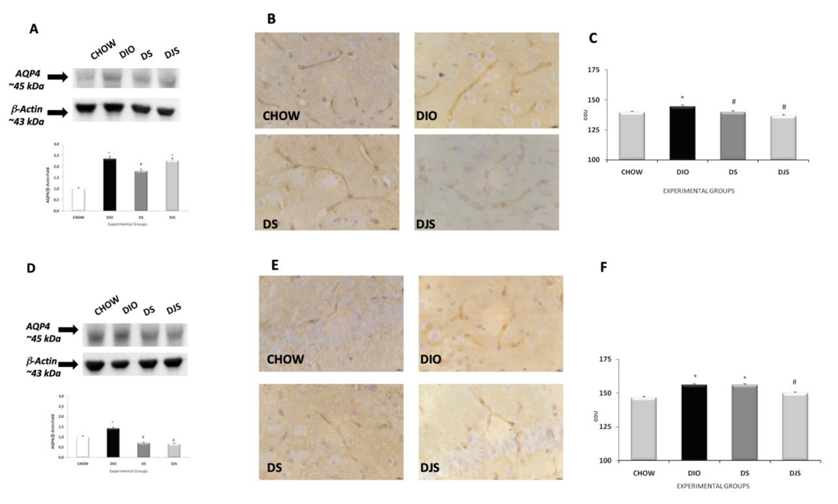 Nutrients 12 00623 g006 Nutrients 12 00623 g006