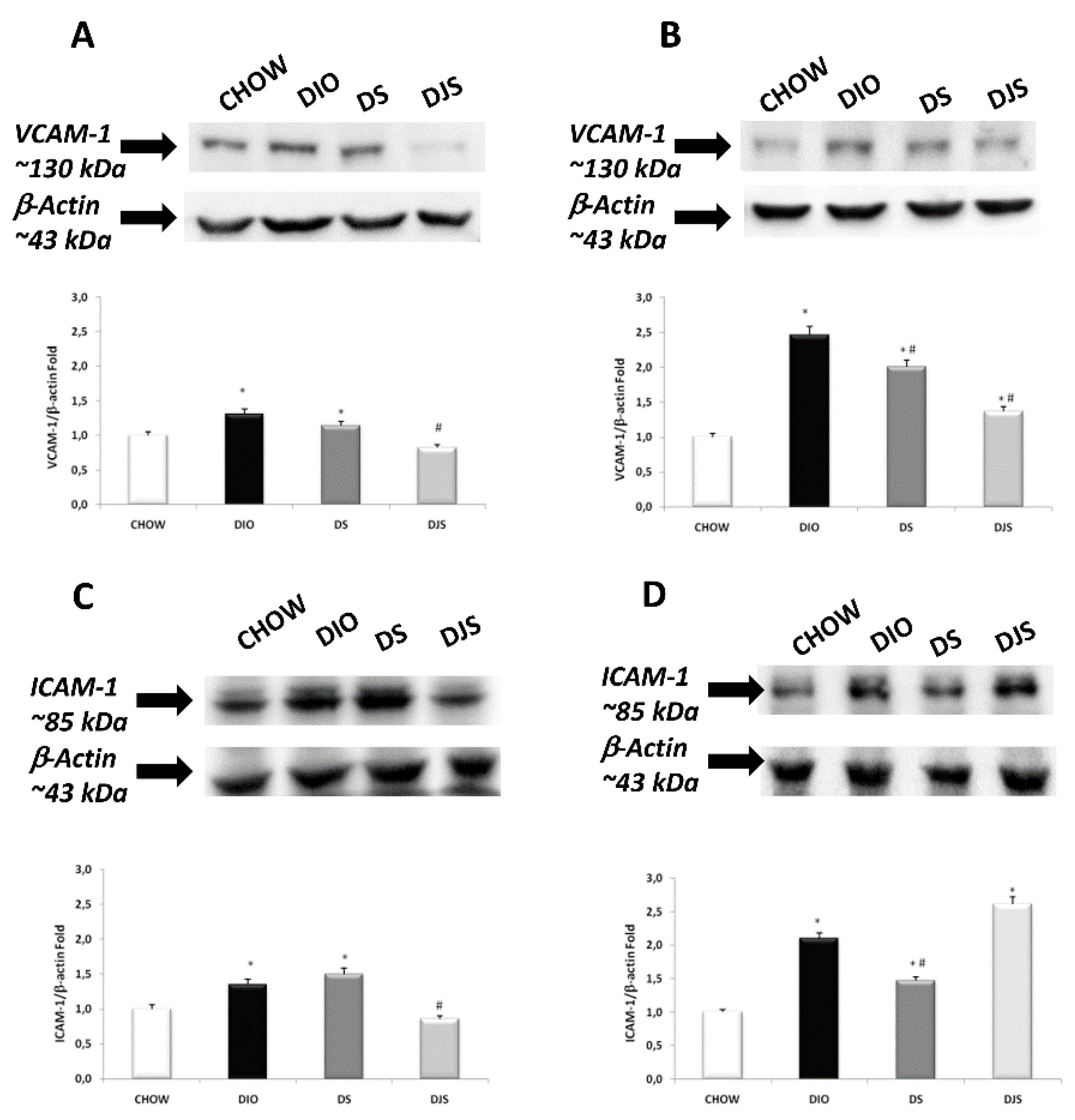 Nutrients 12 00623 g007 Nutrients 12 00623 g007