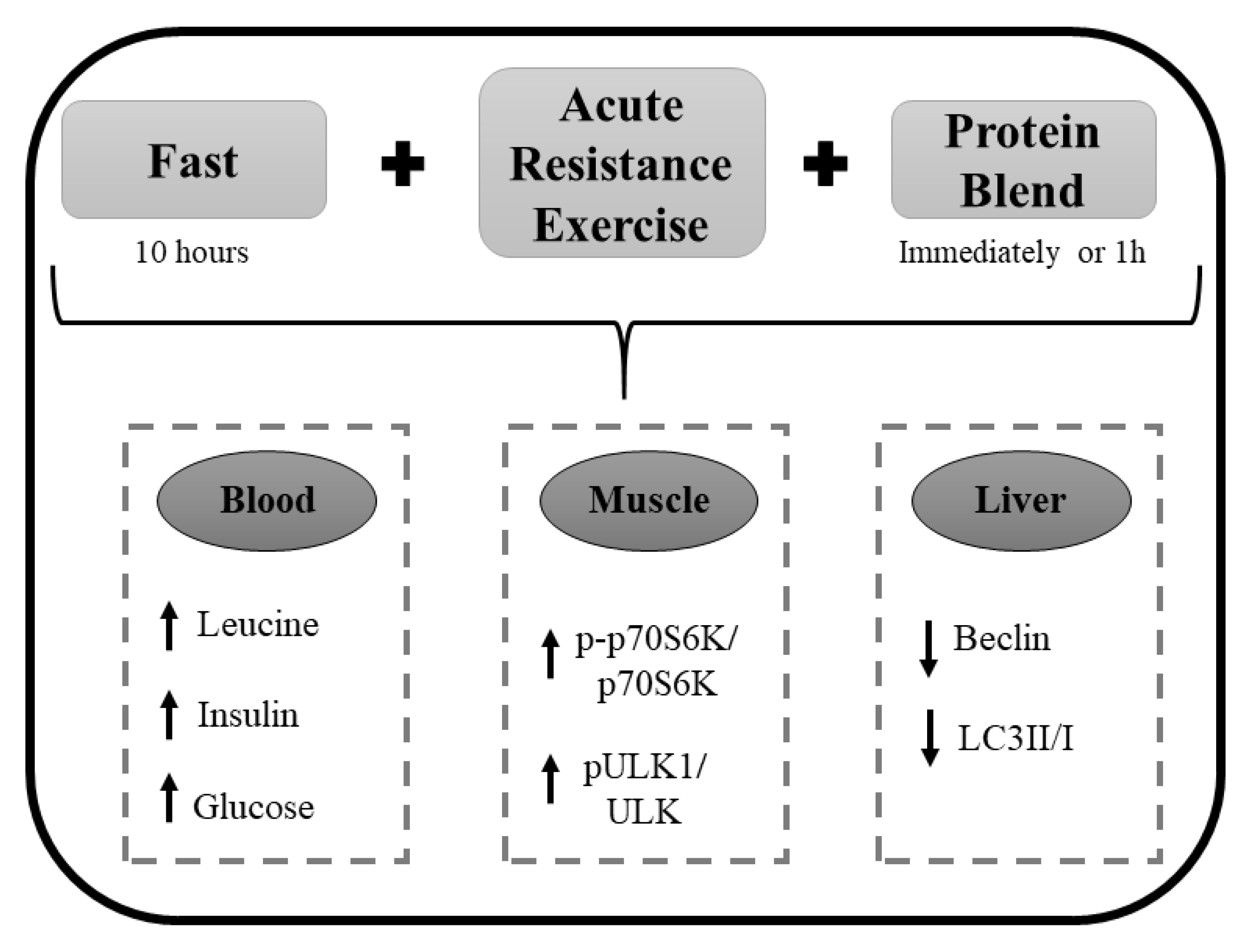 Nutrients 12 00641 g005